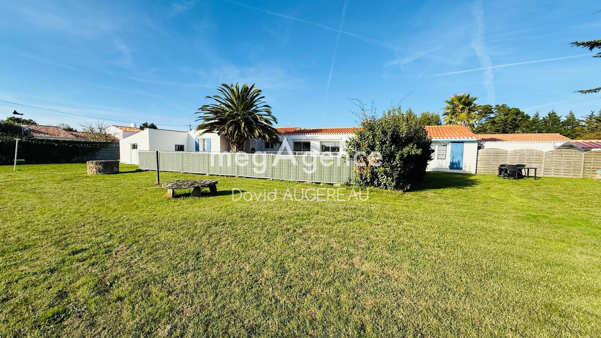 Miniature photo - 3 / 17