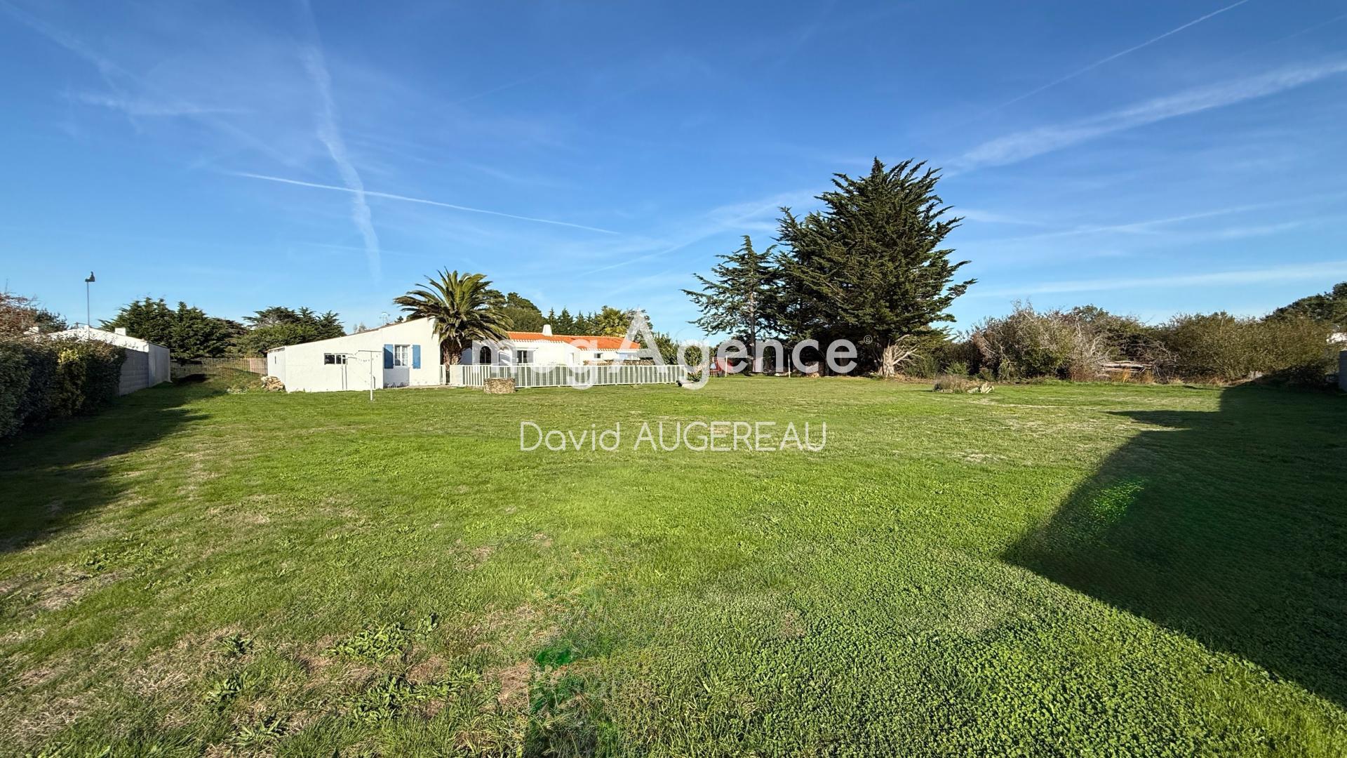 Miniature photo - 5 / 17