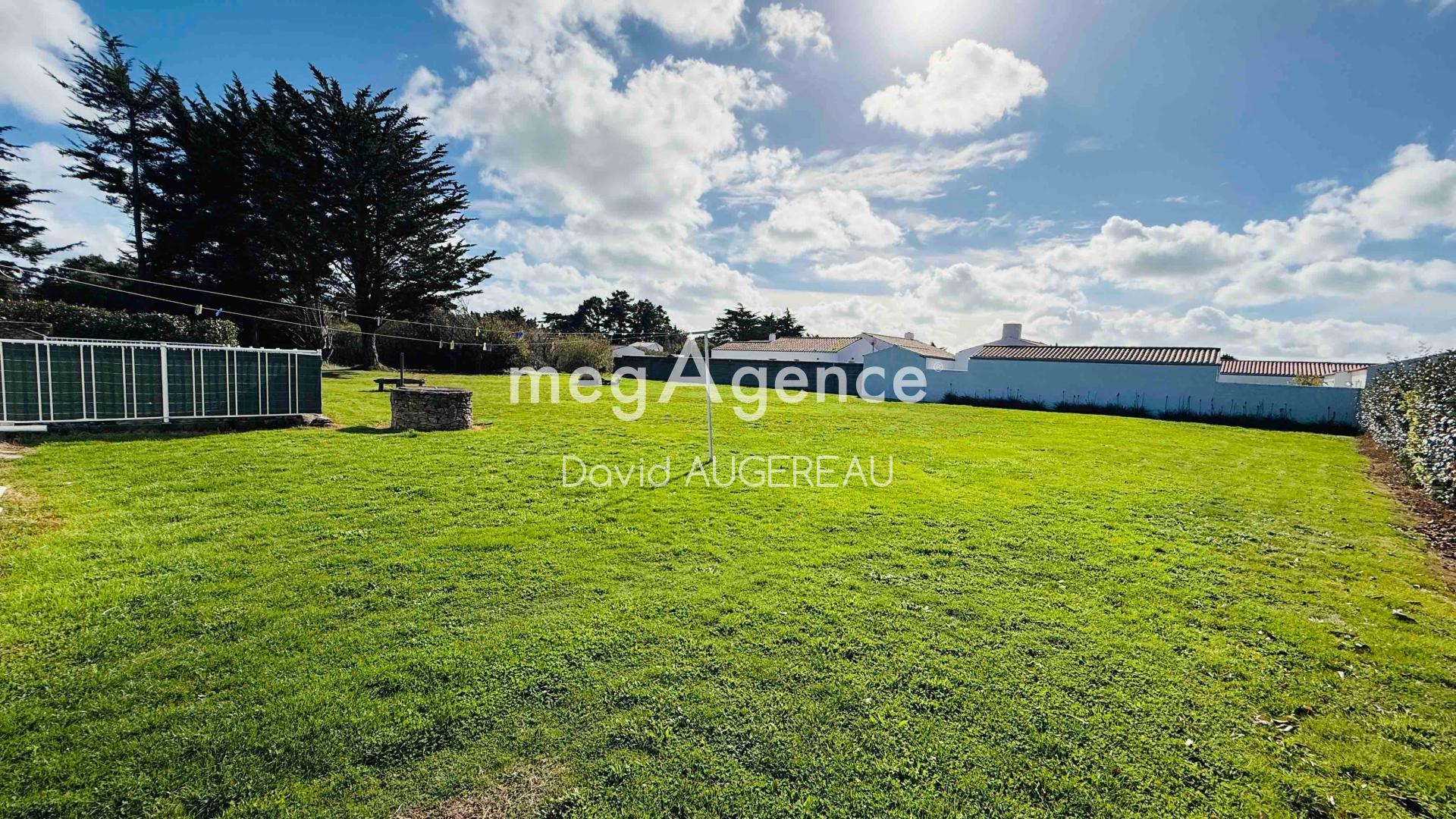 Miniature photo - 4 / 17