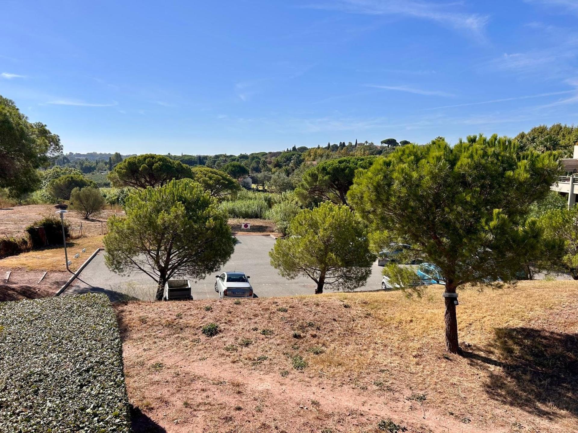 Miniature photo - 2 / 8