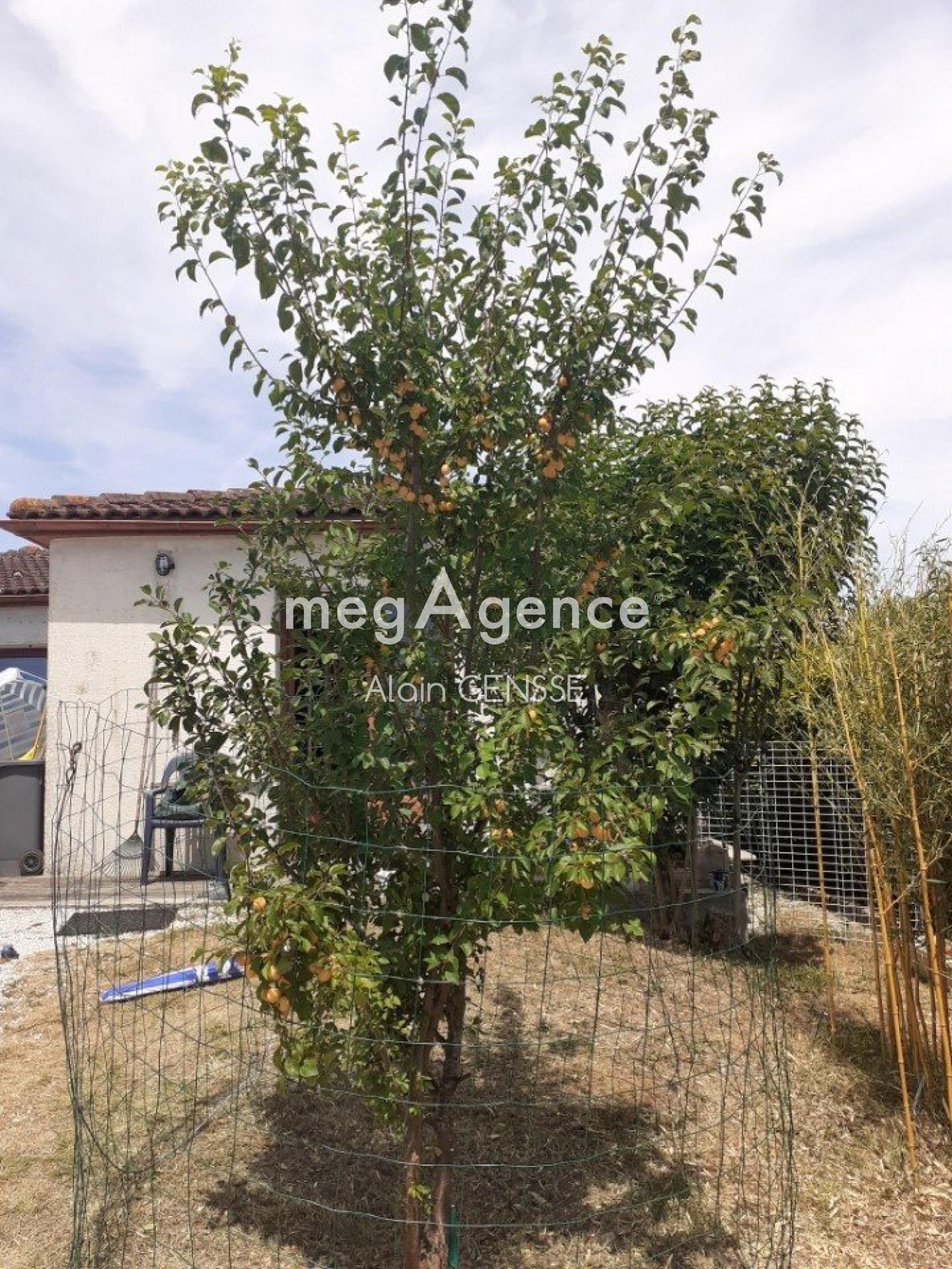 Miniature photo - 7 / 8