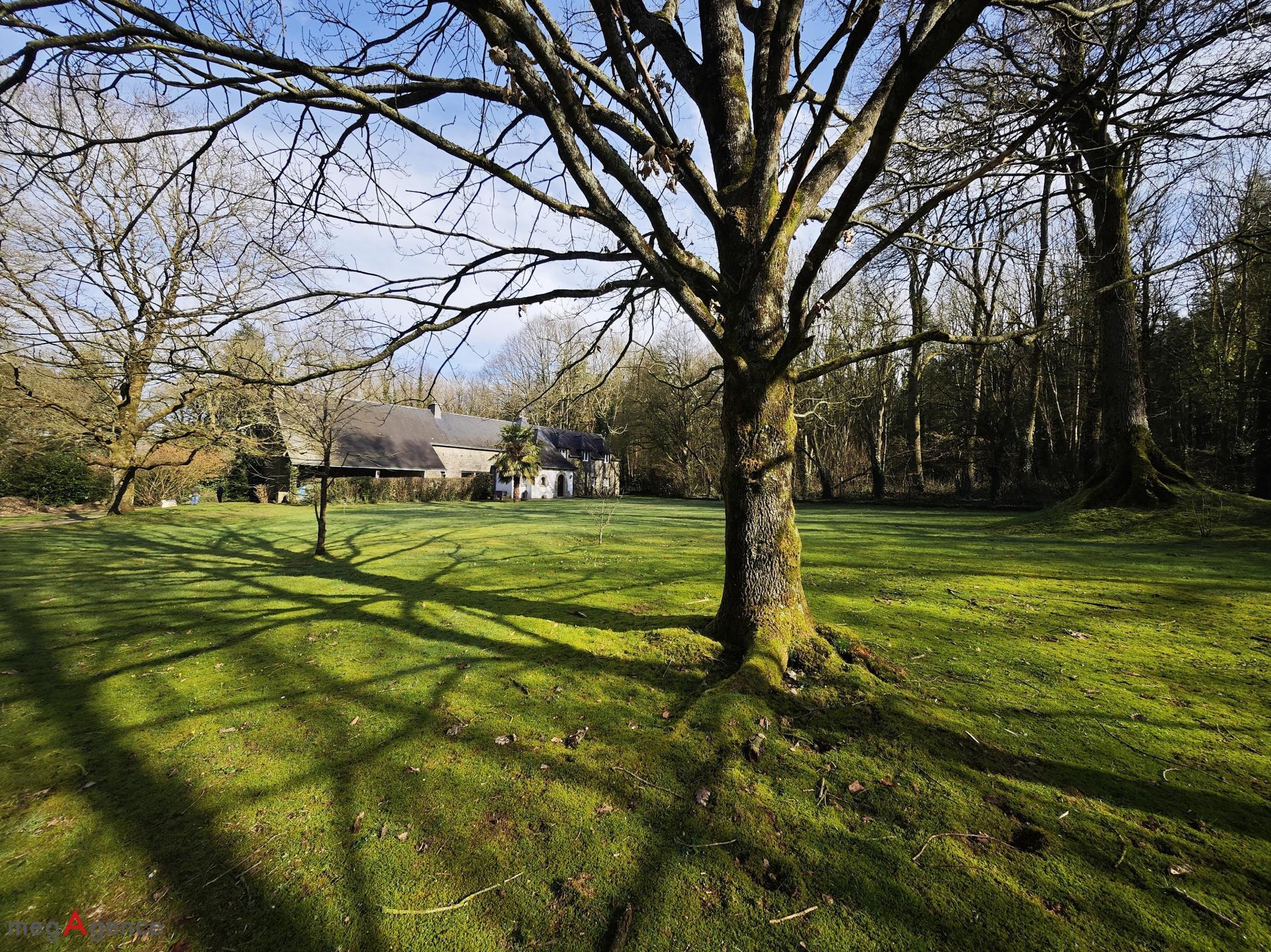 Miniature photo - 14 / 16