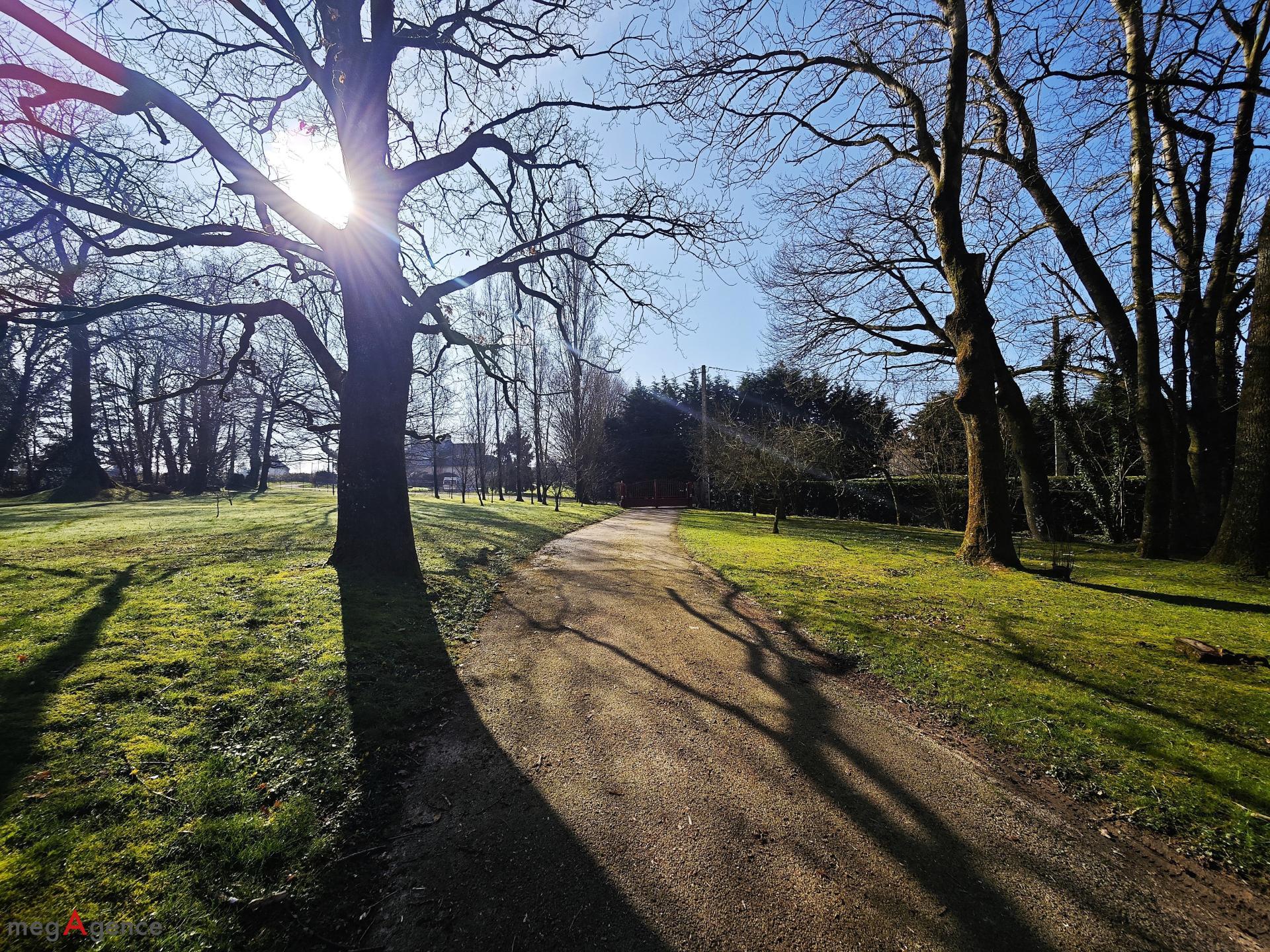 Miniature photo - 15 / 16