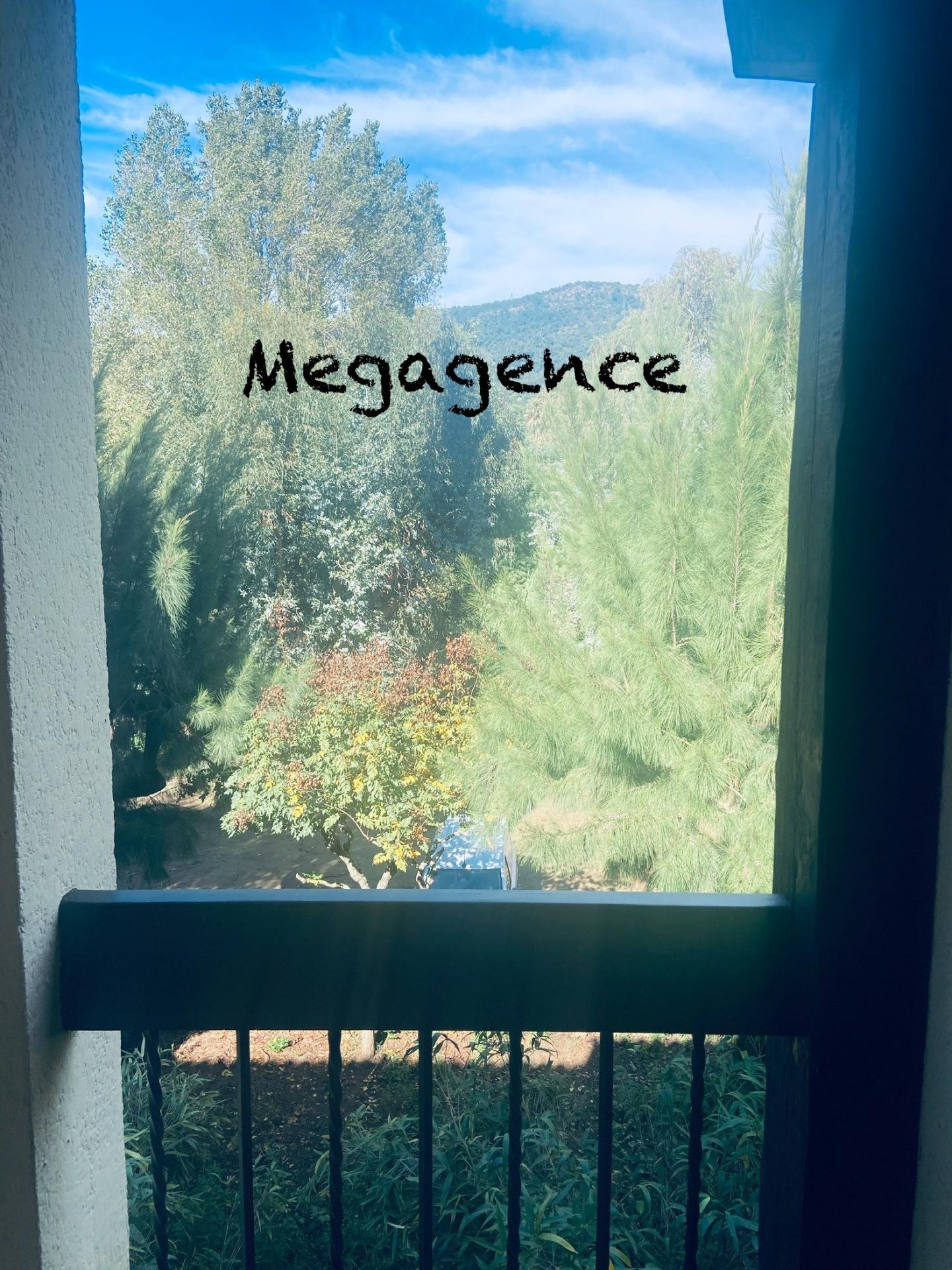 Miniature photo - 19 / 20