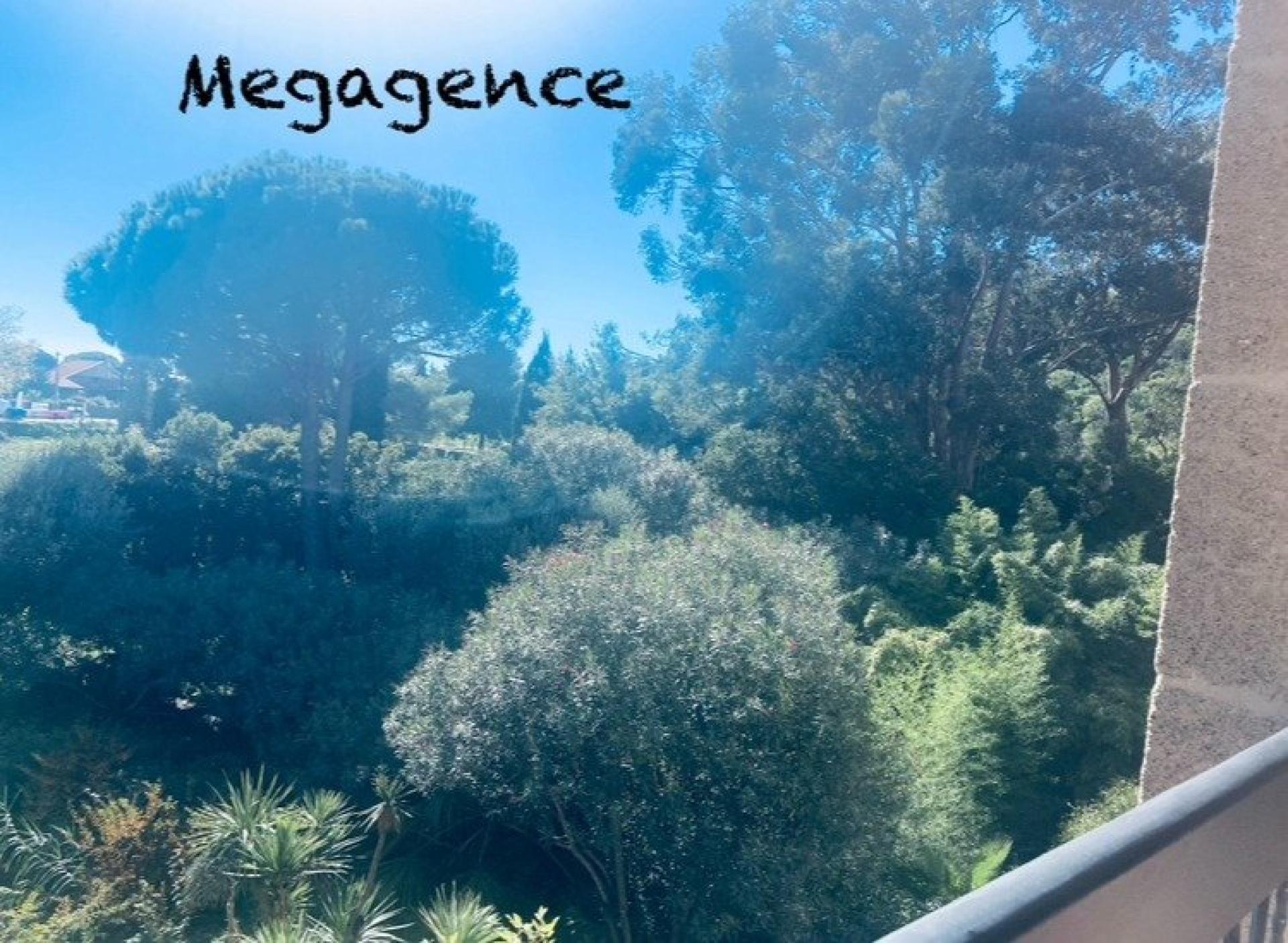 Miniature photo - 8 / 20