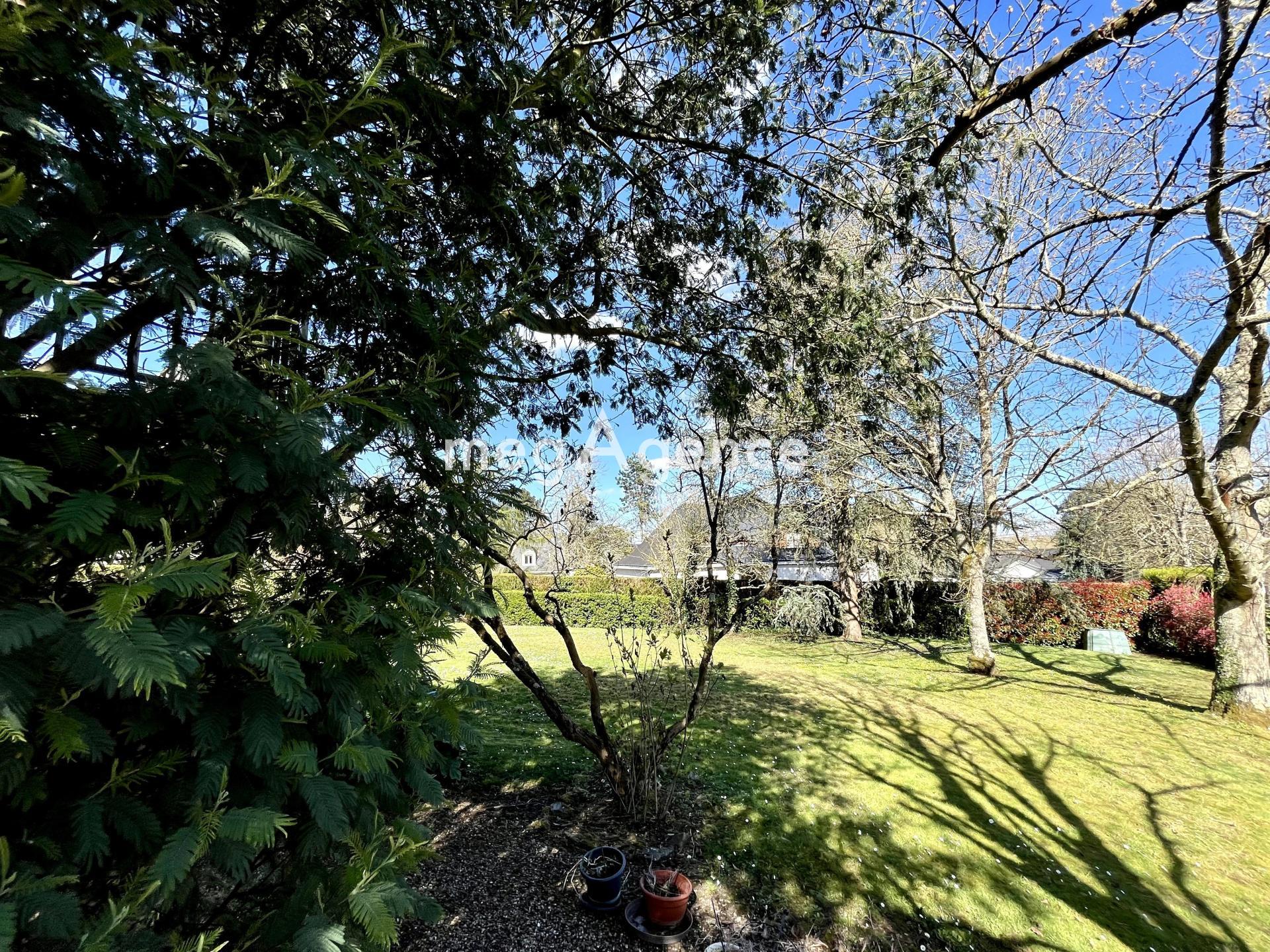 Miniature photo - 2 / 13