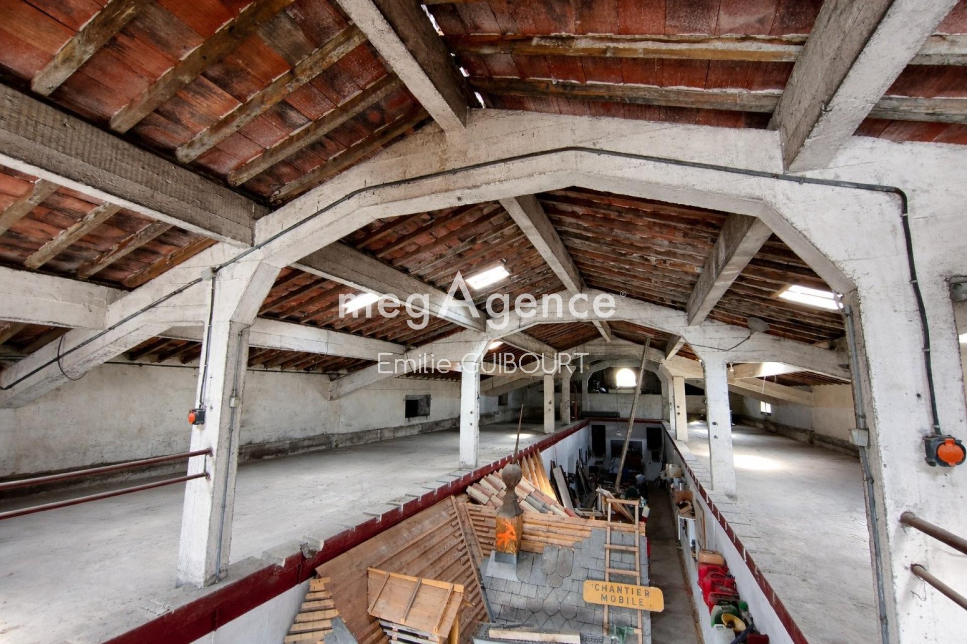 Miniature photo - 11 / 11