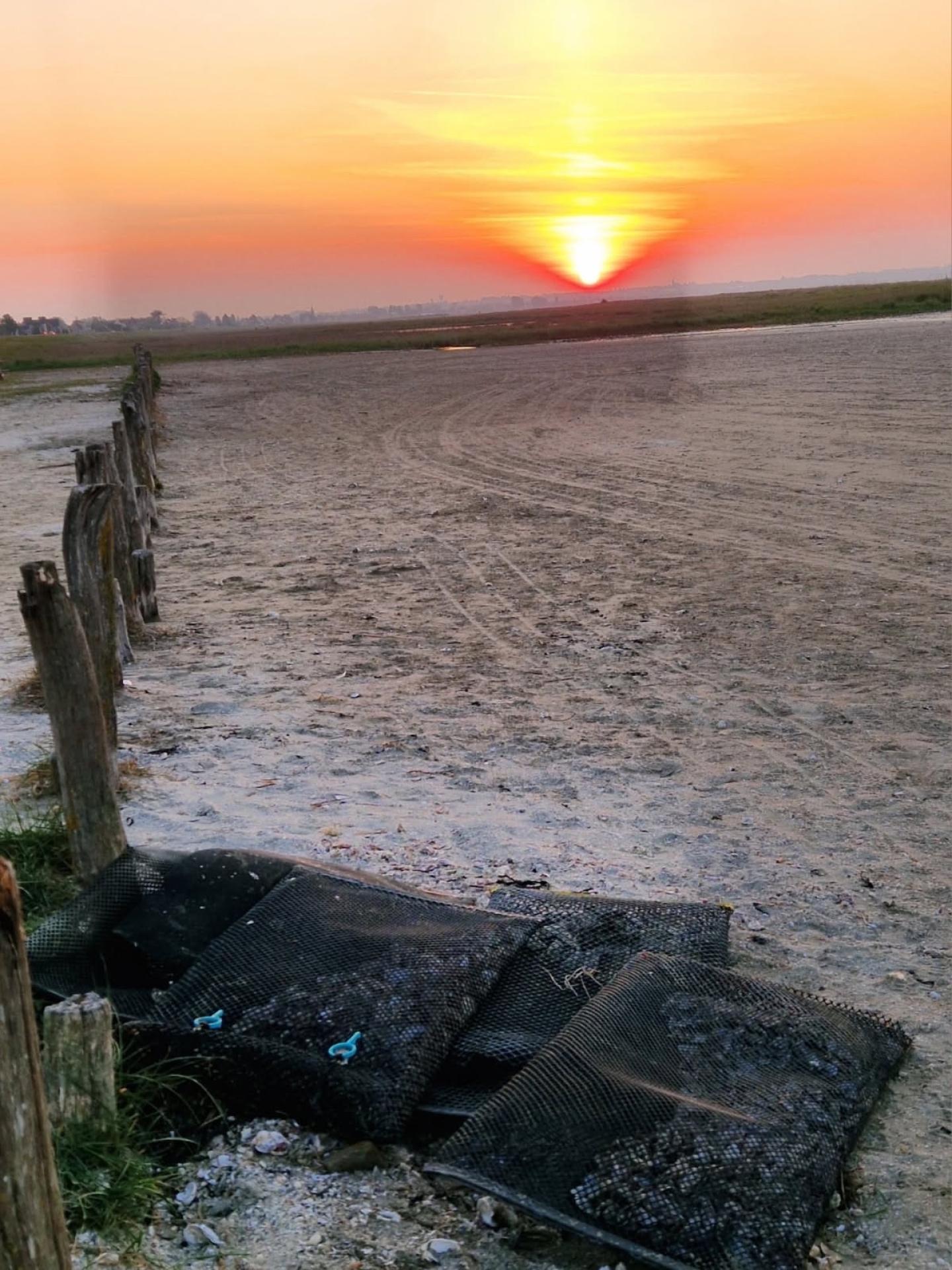 Miniature photo - 11 / 11