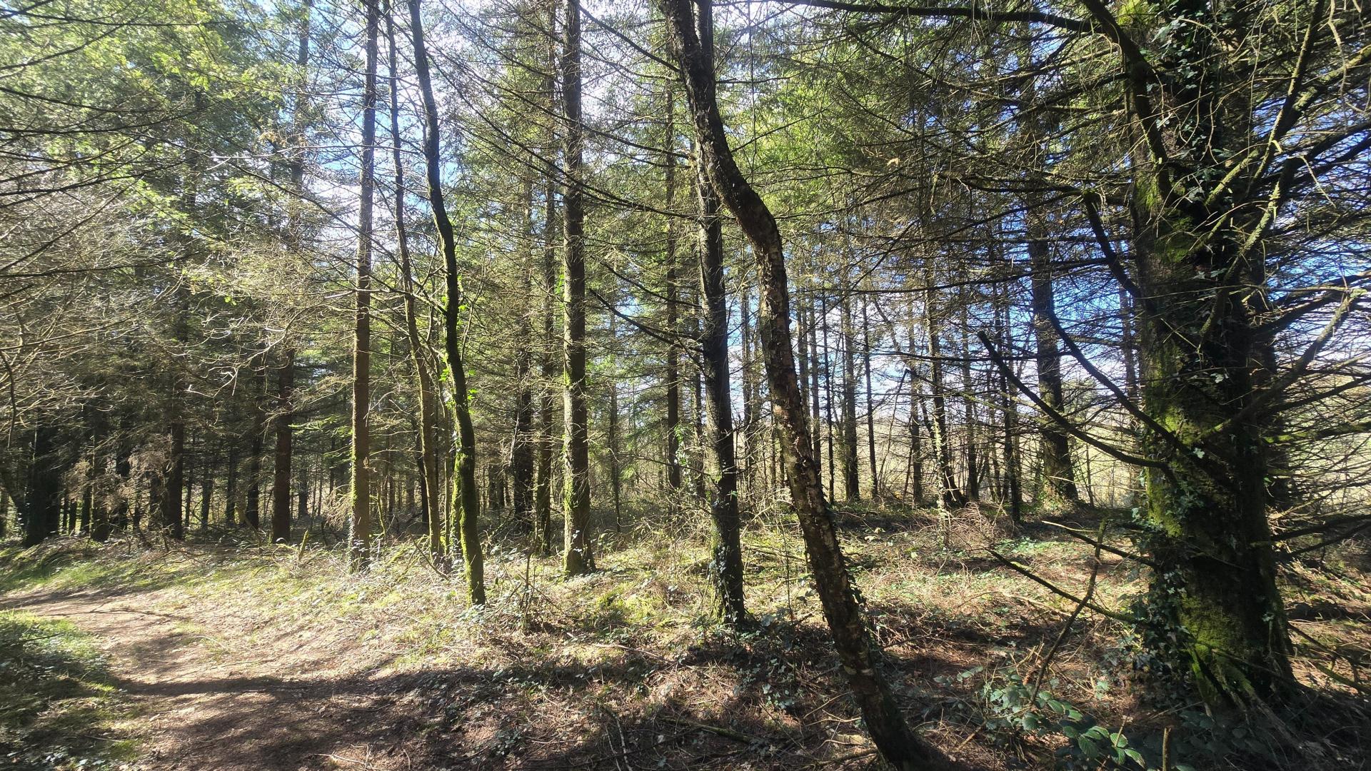 Miniature photo - 4 / 5