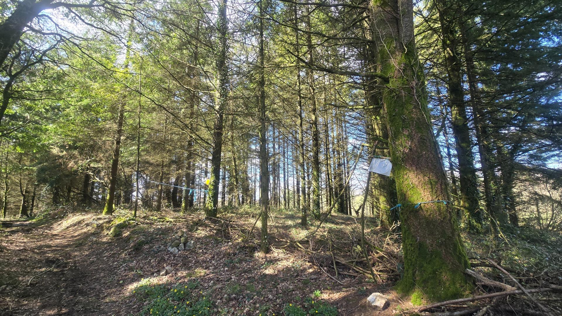 Photographie descriptive du bien