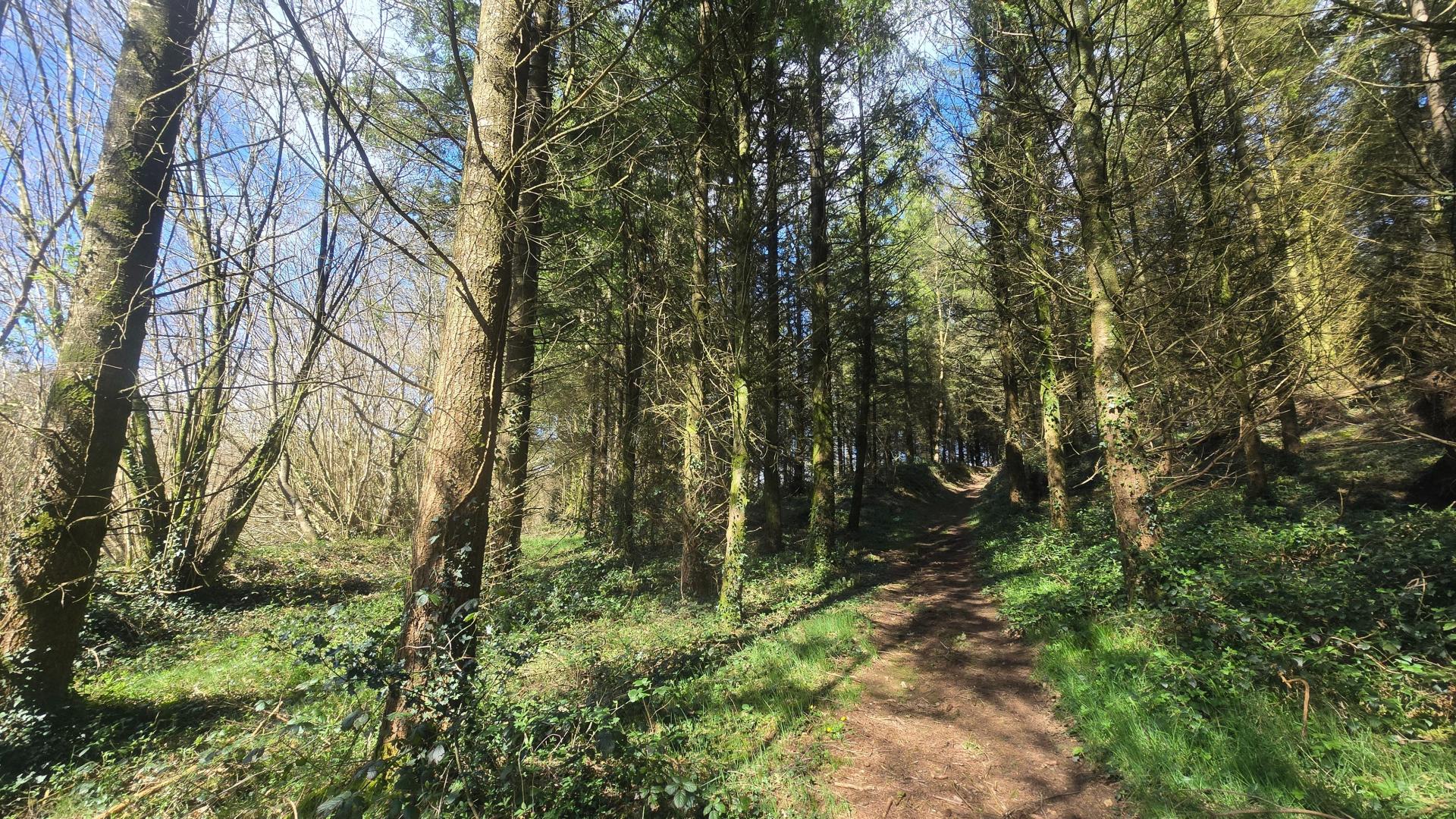 Miniature photo - 2 / 5