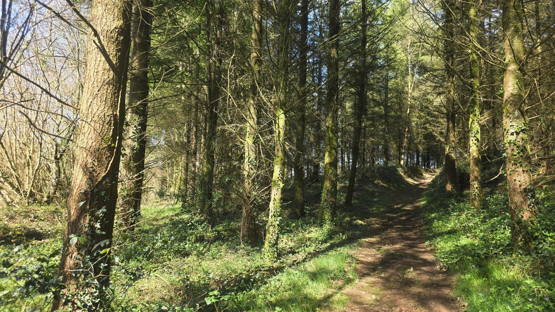 Miniature photo - 3 / 5