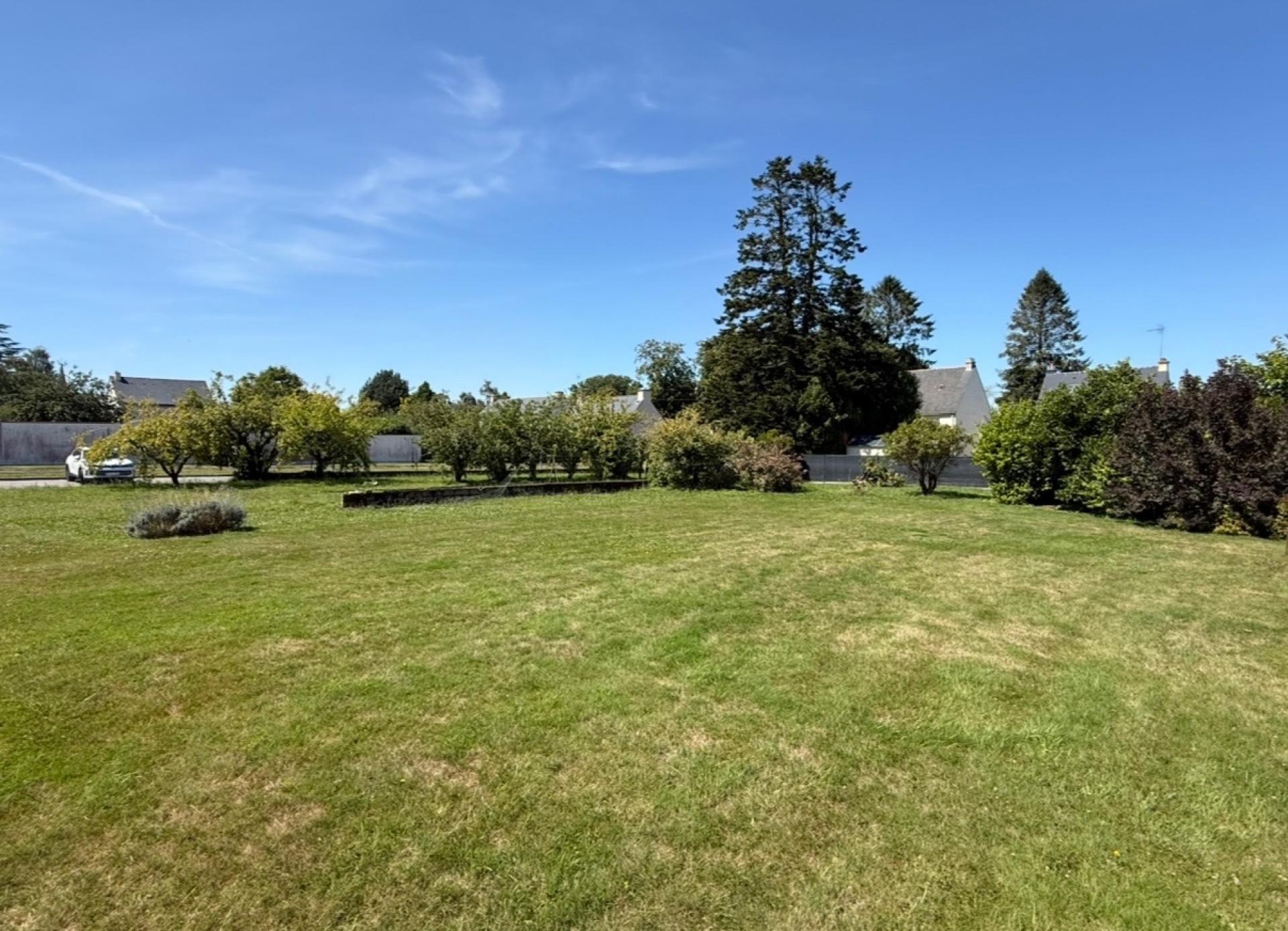 Miniature photo - 2 / 2