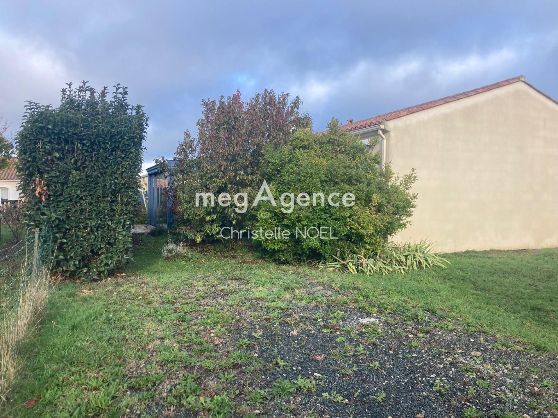 Miniature photo - 11 / 11