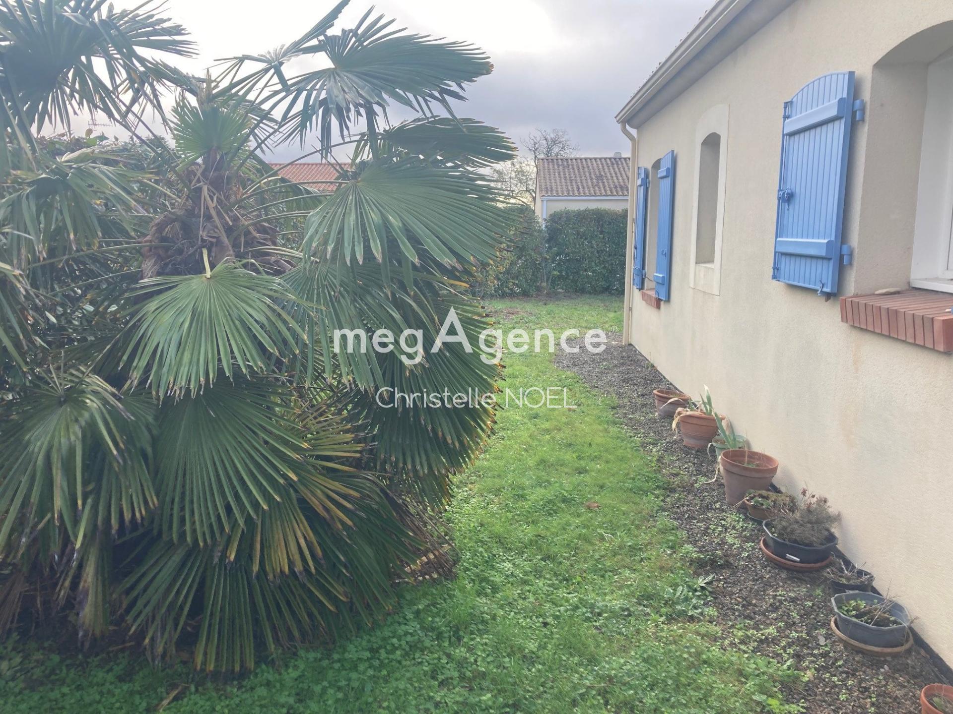 Miniature photo - 2 / 11