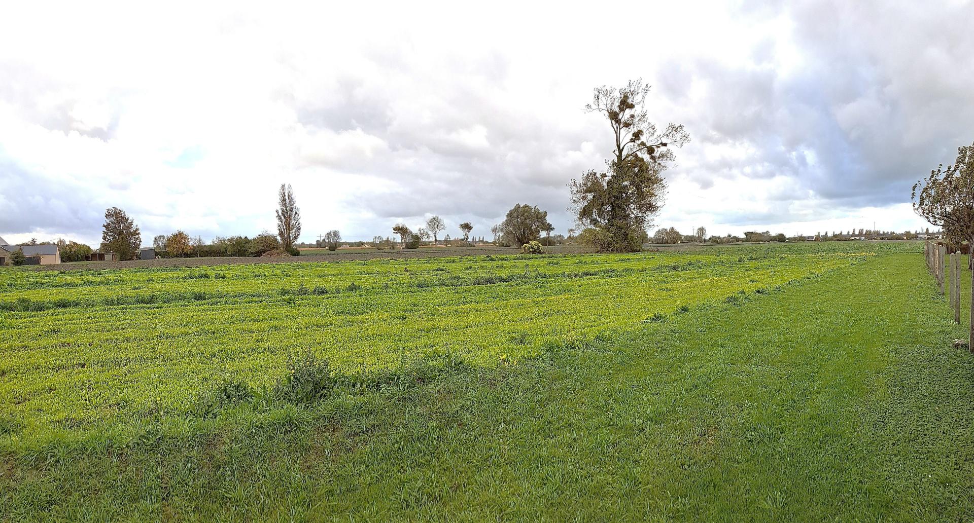 Miniature photo - 7 / 11