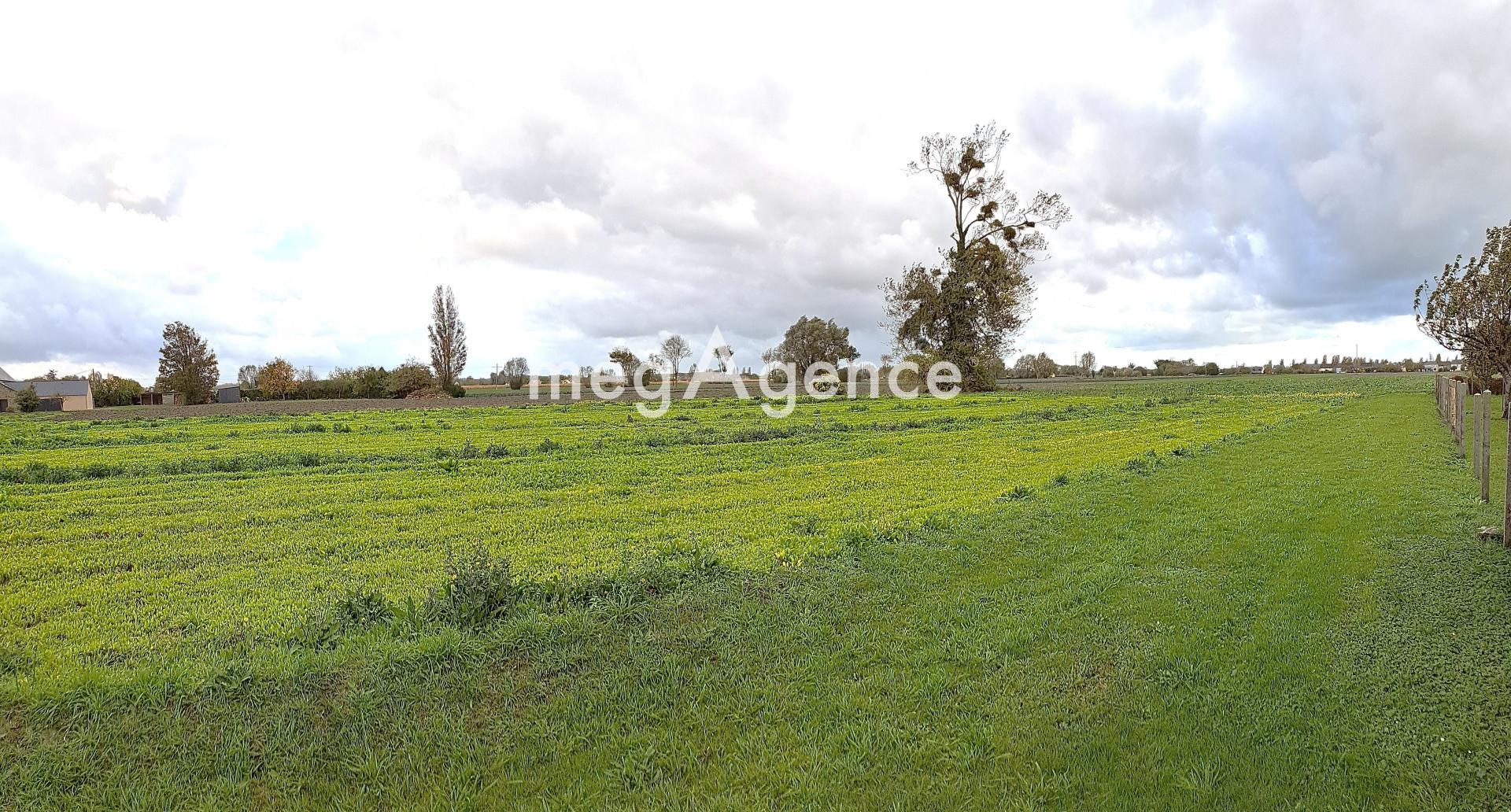 Miniature photo - 8 / 11