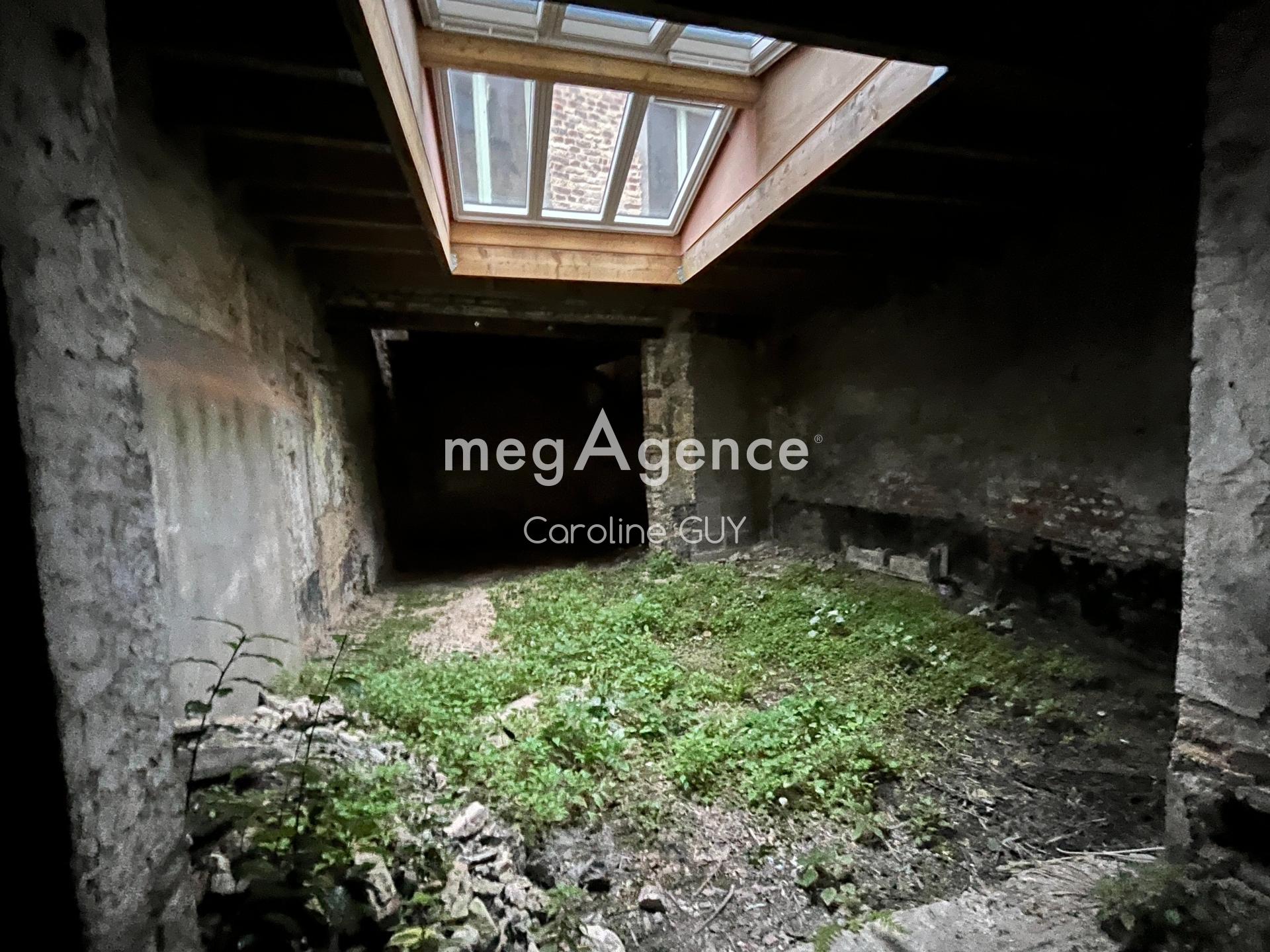 Miniature photo - 5 / 6