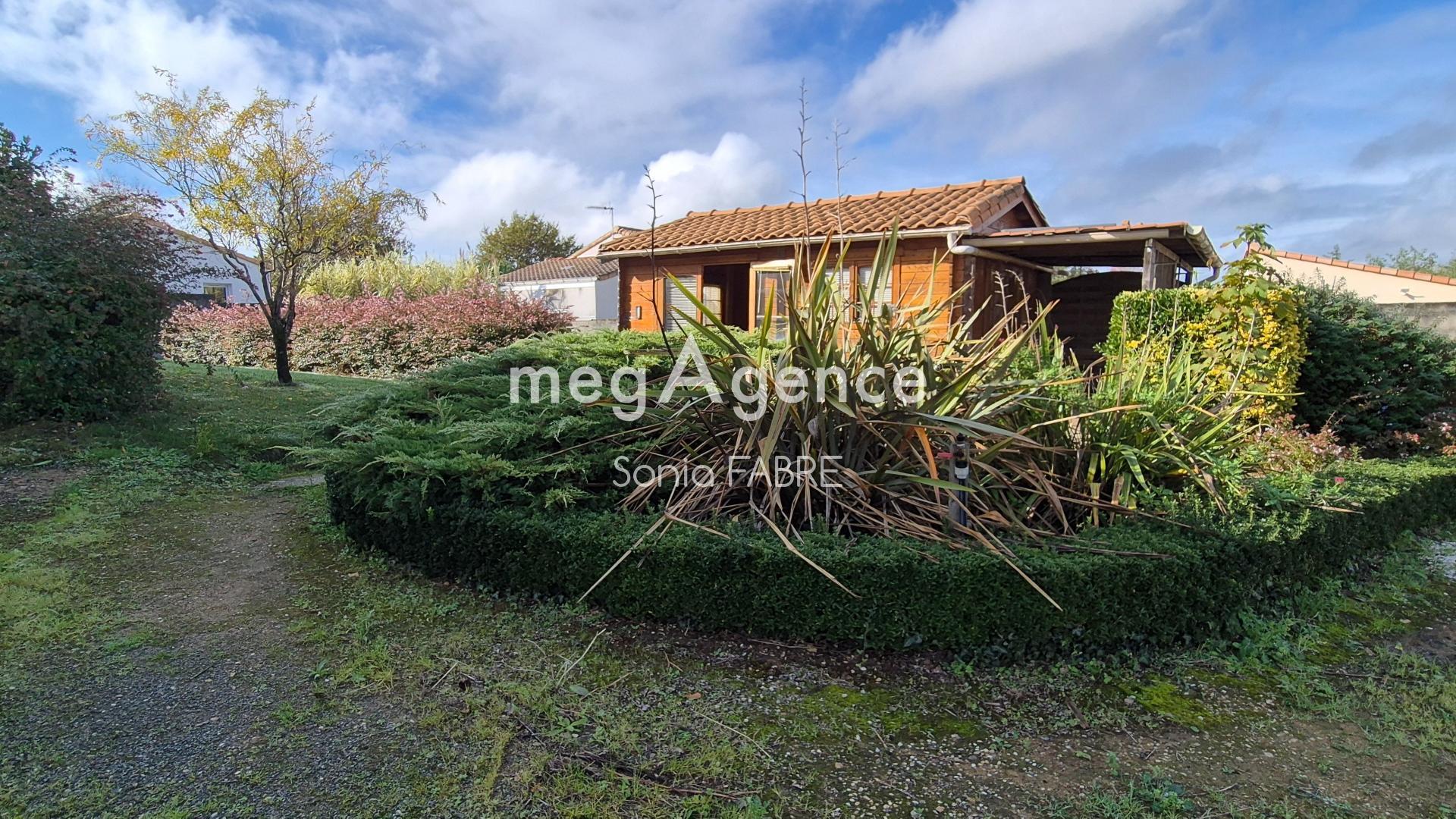 Miniature photo - 11 / 11