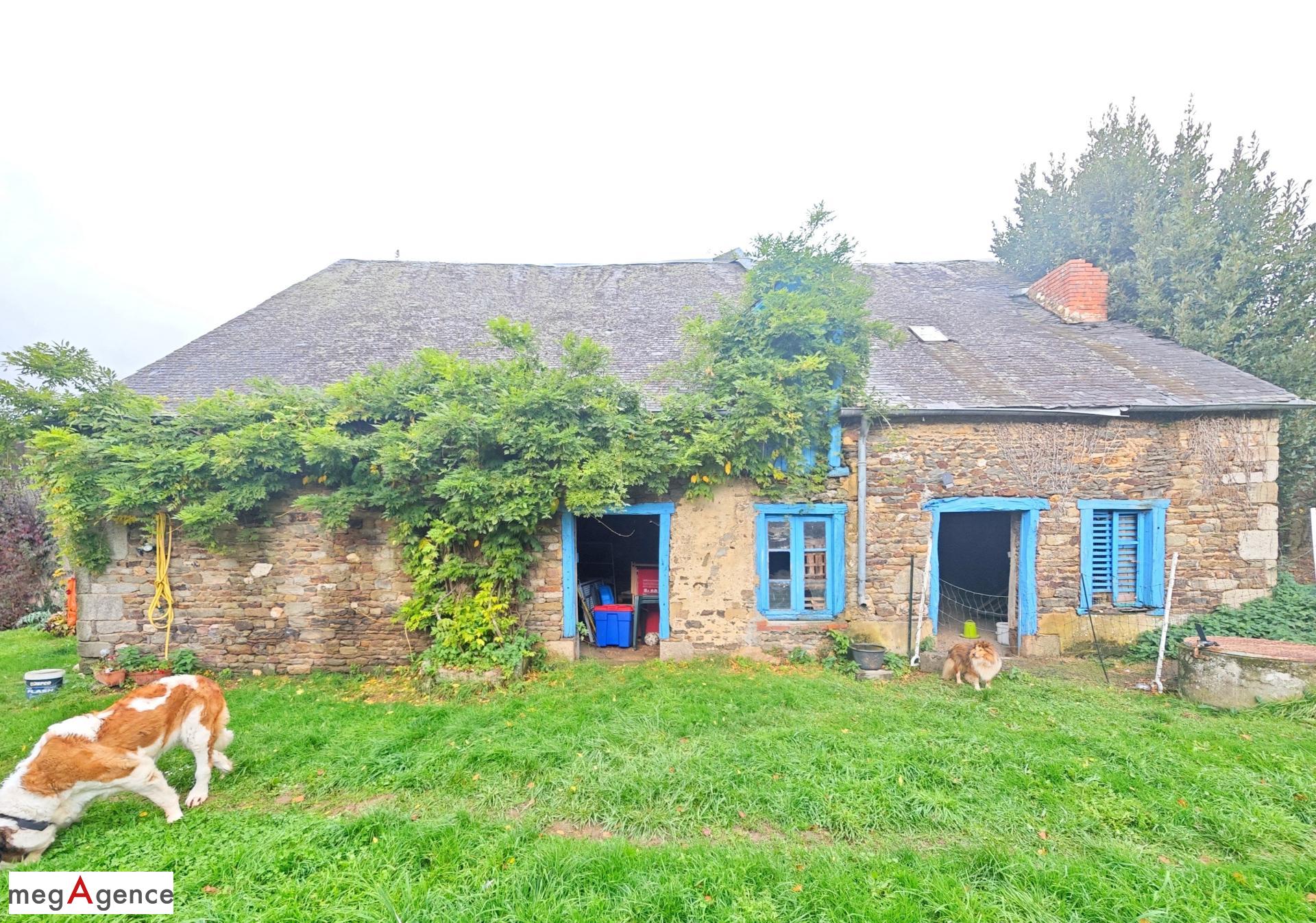 Miniature photo - 11 / 12