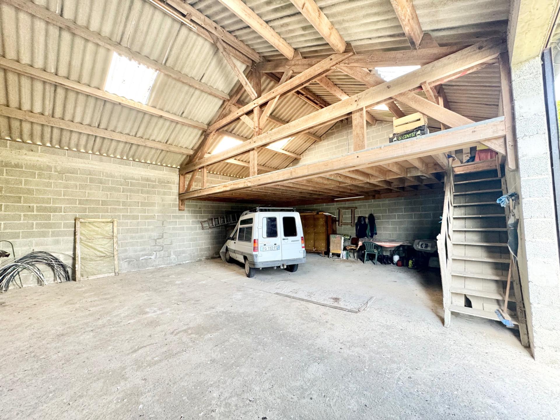 Miniature photo - 4 / 7