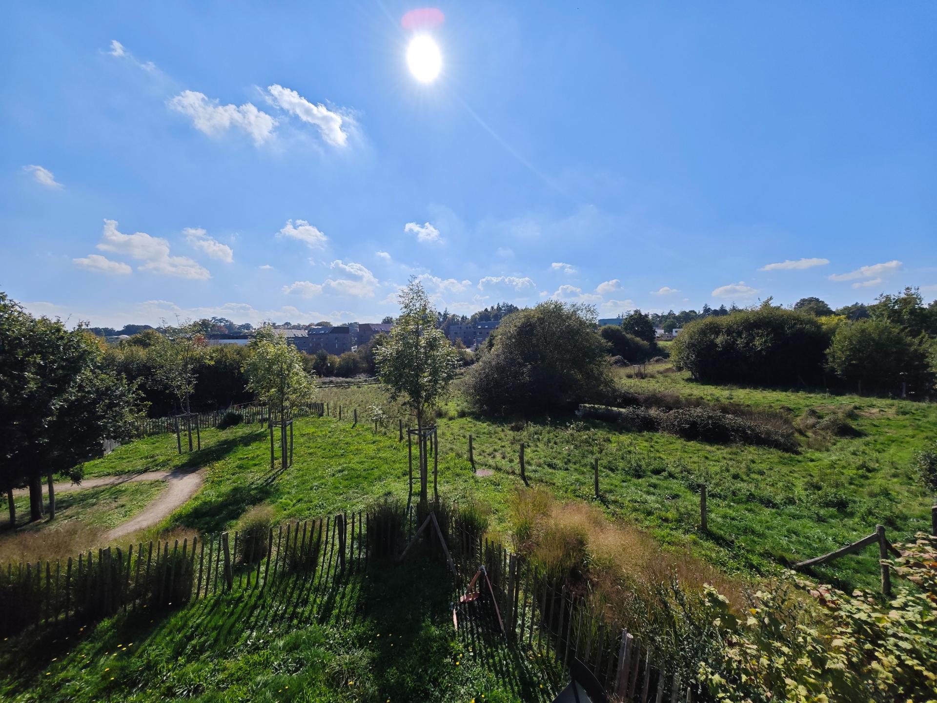 Miniature photo - 16 / 16