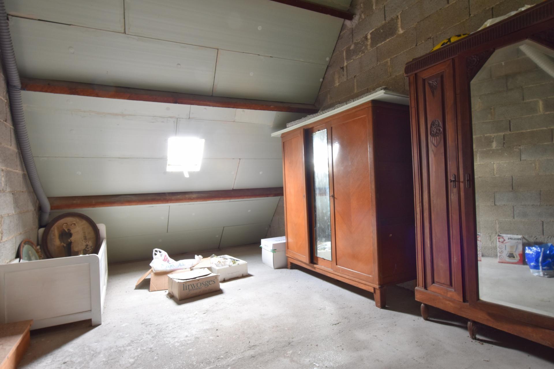 Miniature photo - 10 / 10