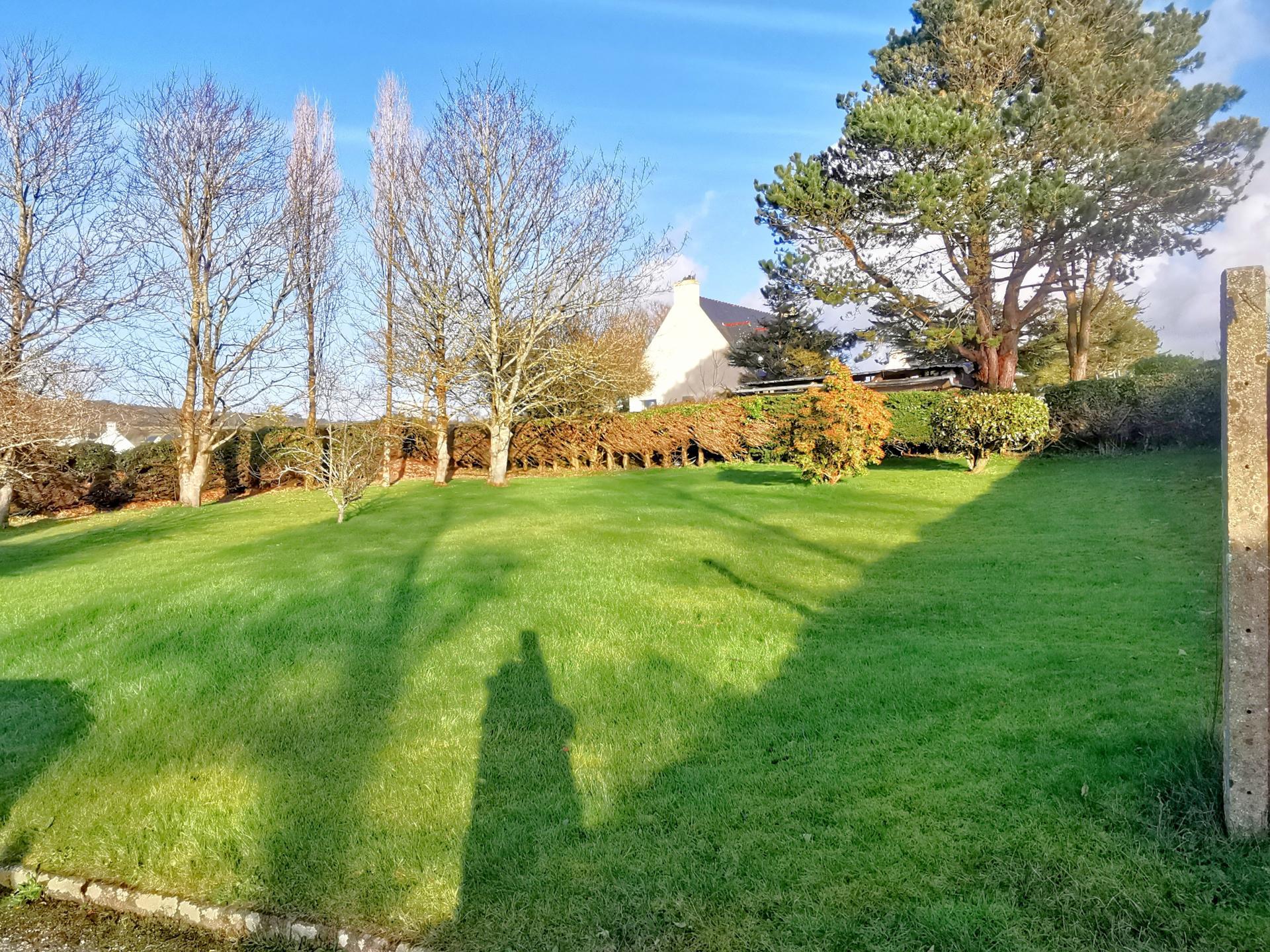 Miniature photo - 2 / 10