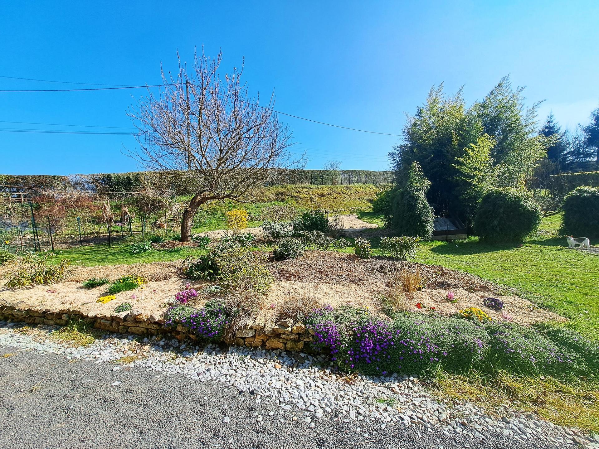 Miniature photo - 10 / 11