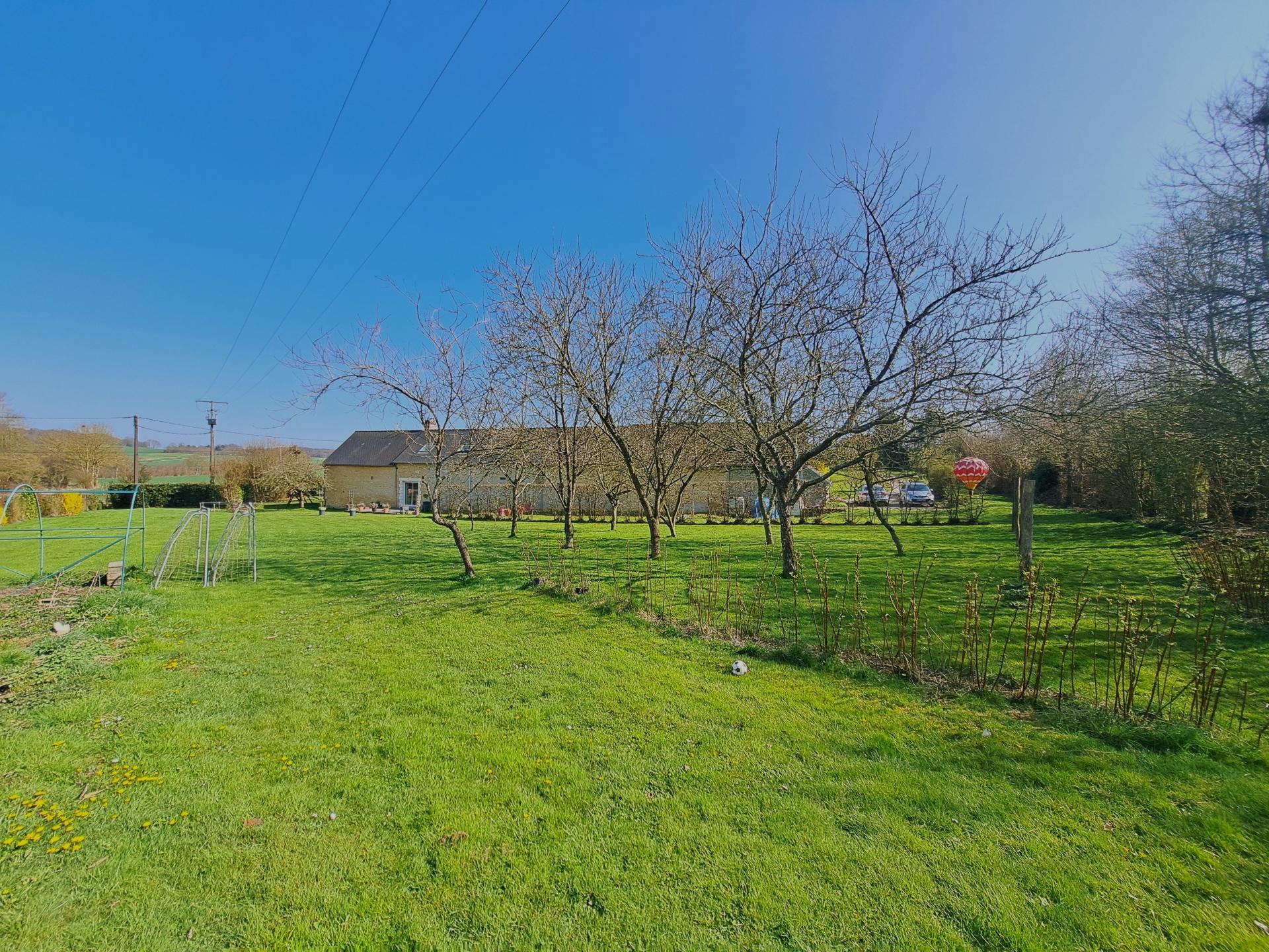 Miniature photo - 8 / 11