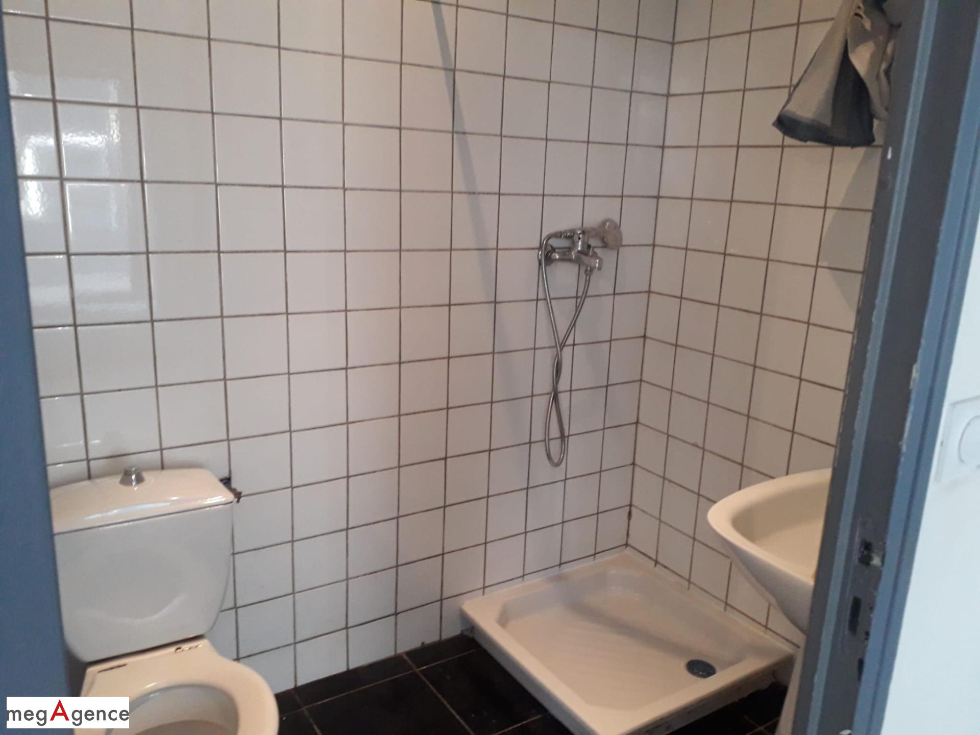 Miniature photo - 6 / 6