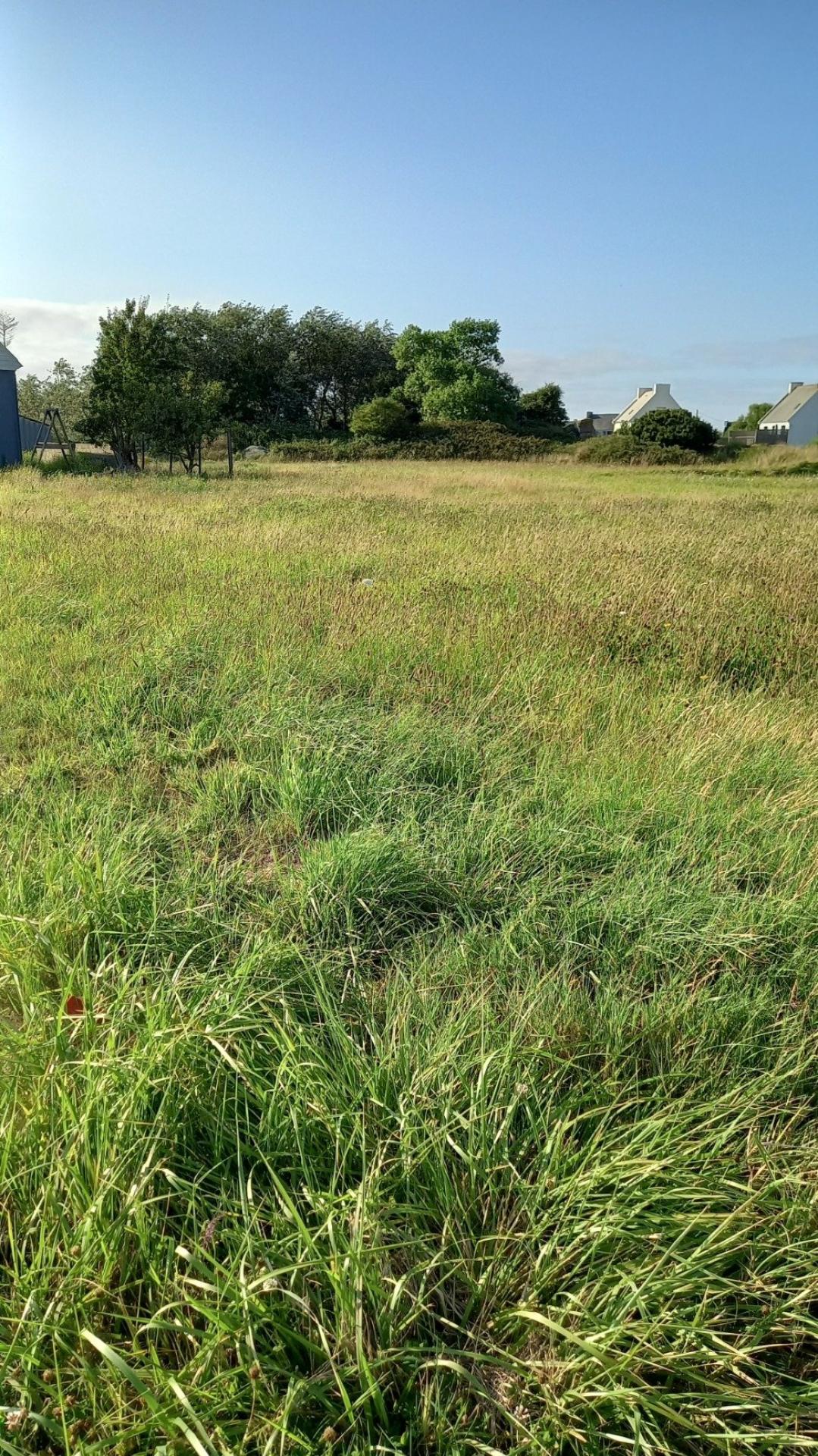 Miniature photo - 3 / 3