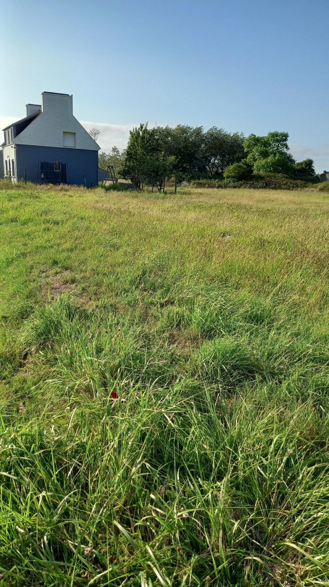 Miniature photo - 2 / 3