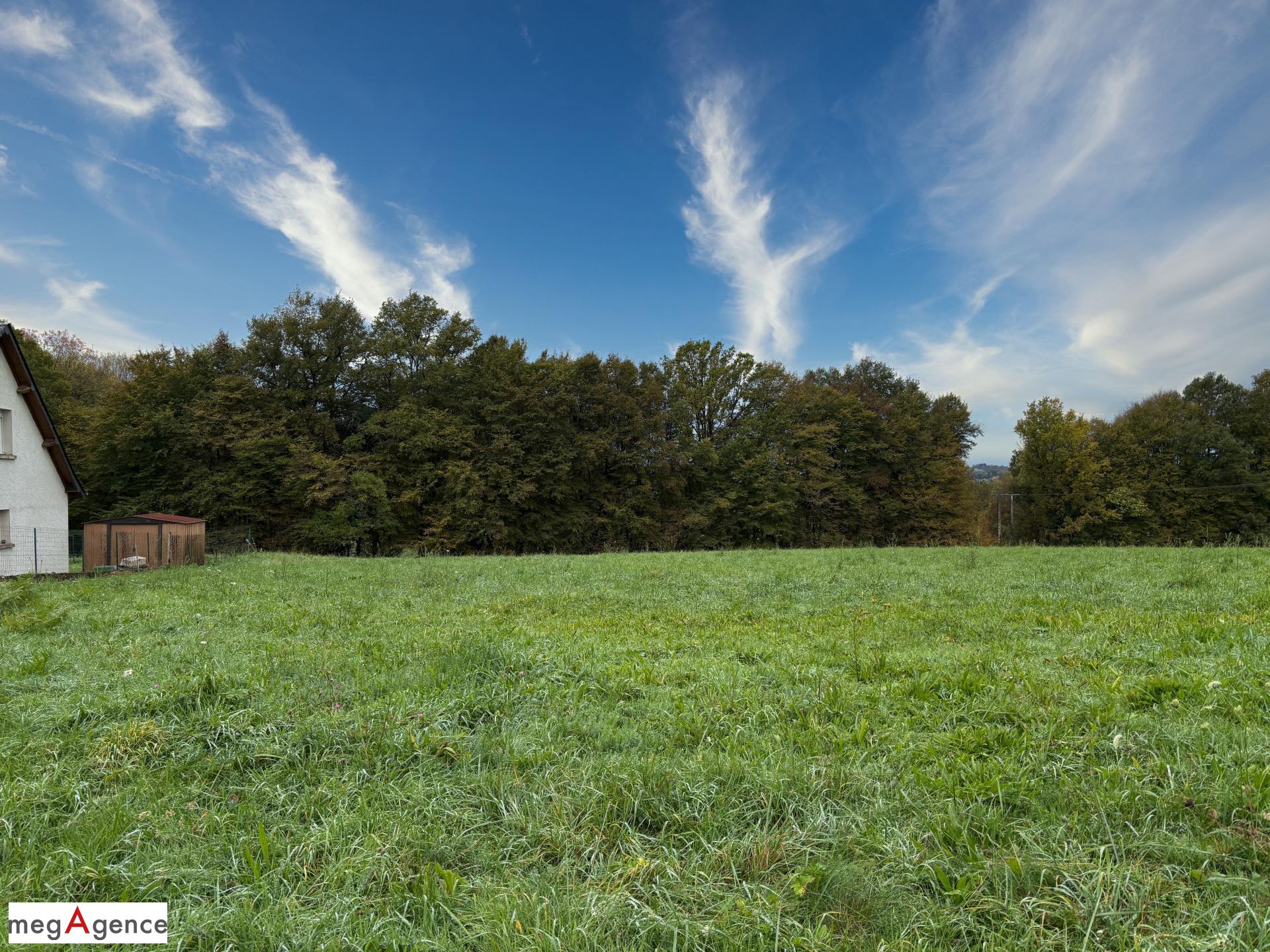 Miniature photo - 2 / 2