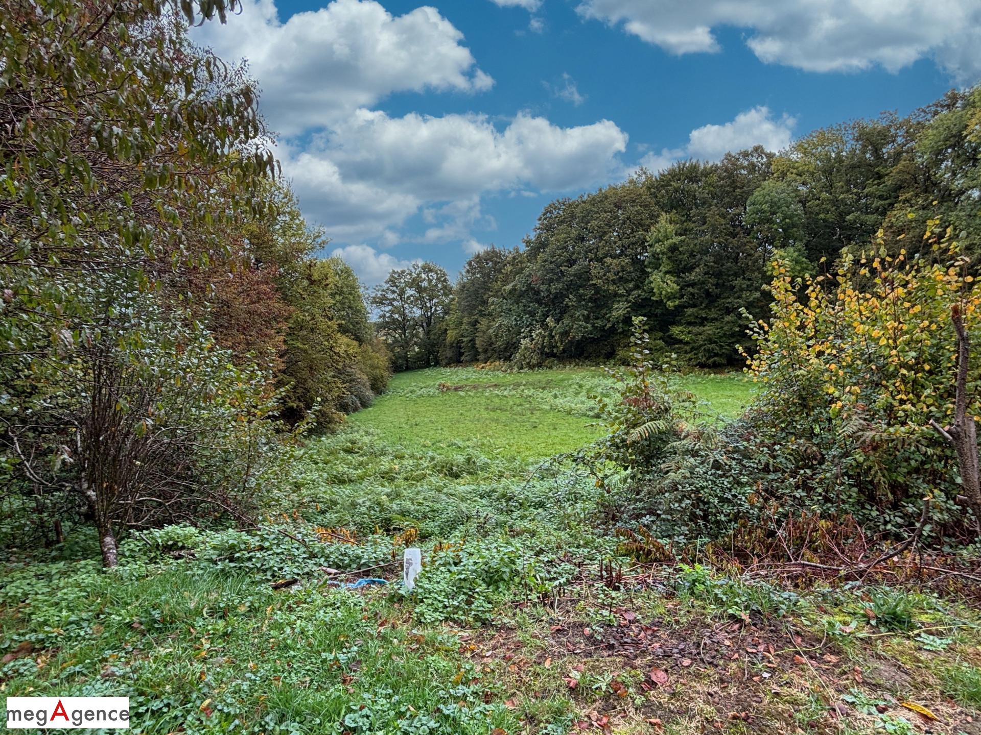 Miniature photo - 11 / 20