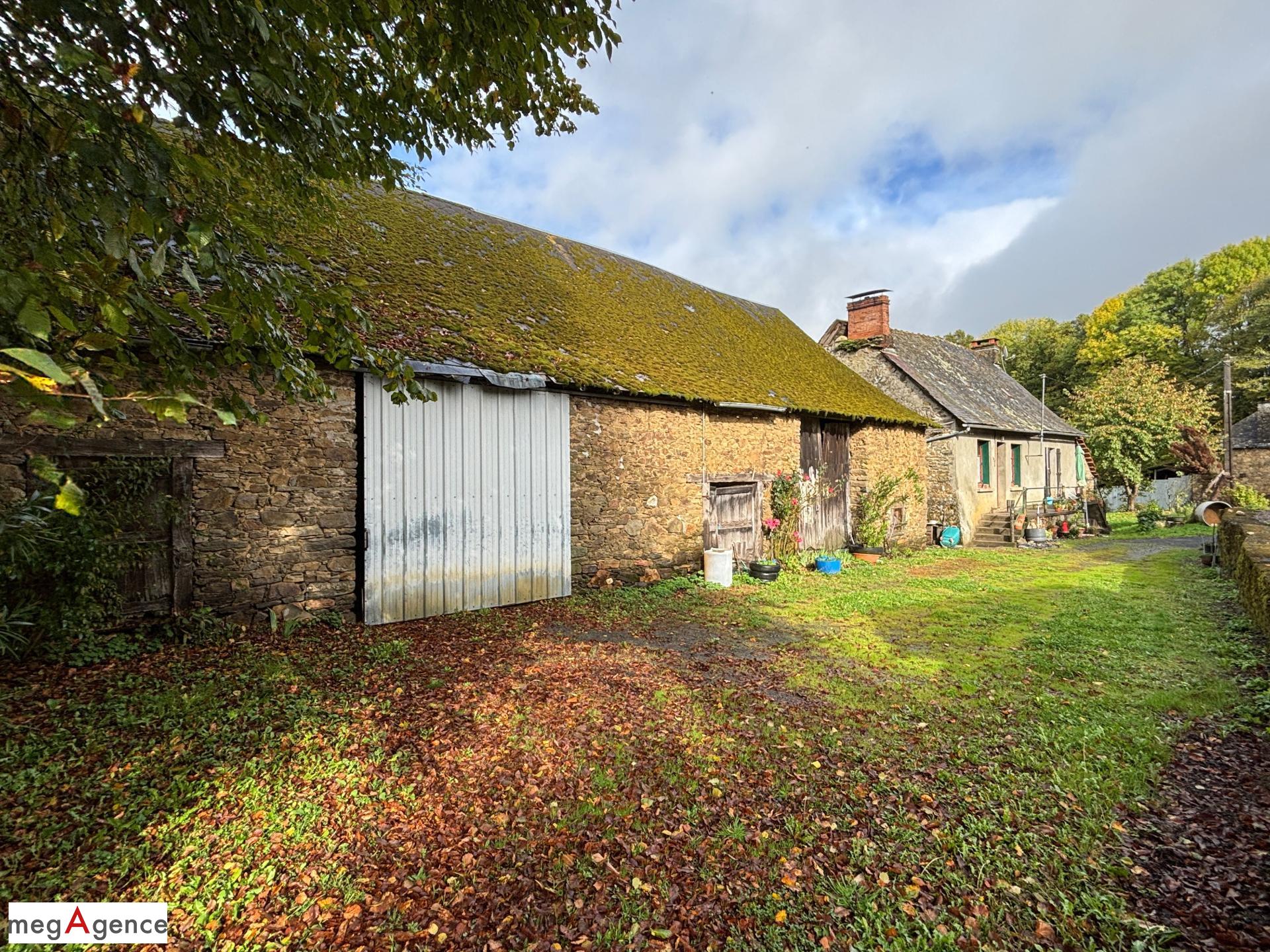 Miniature photo - 2 / 20