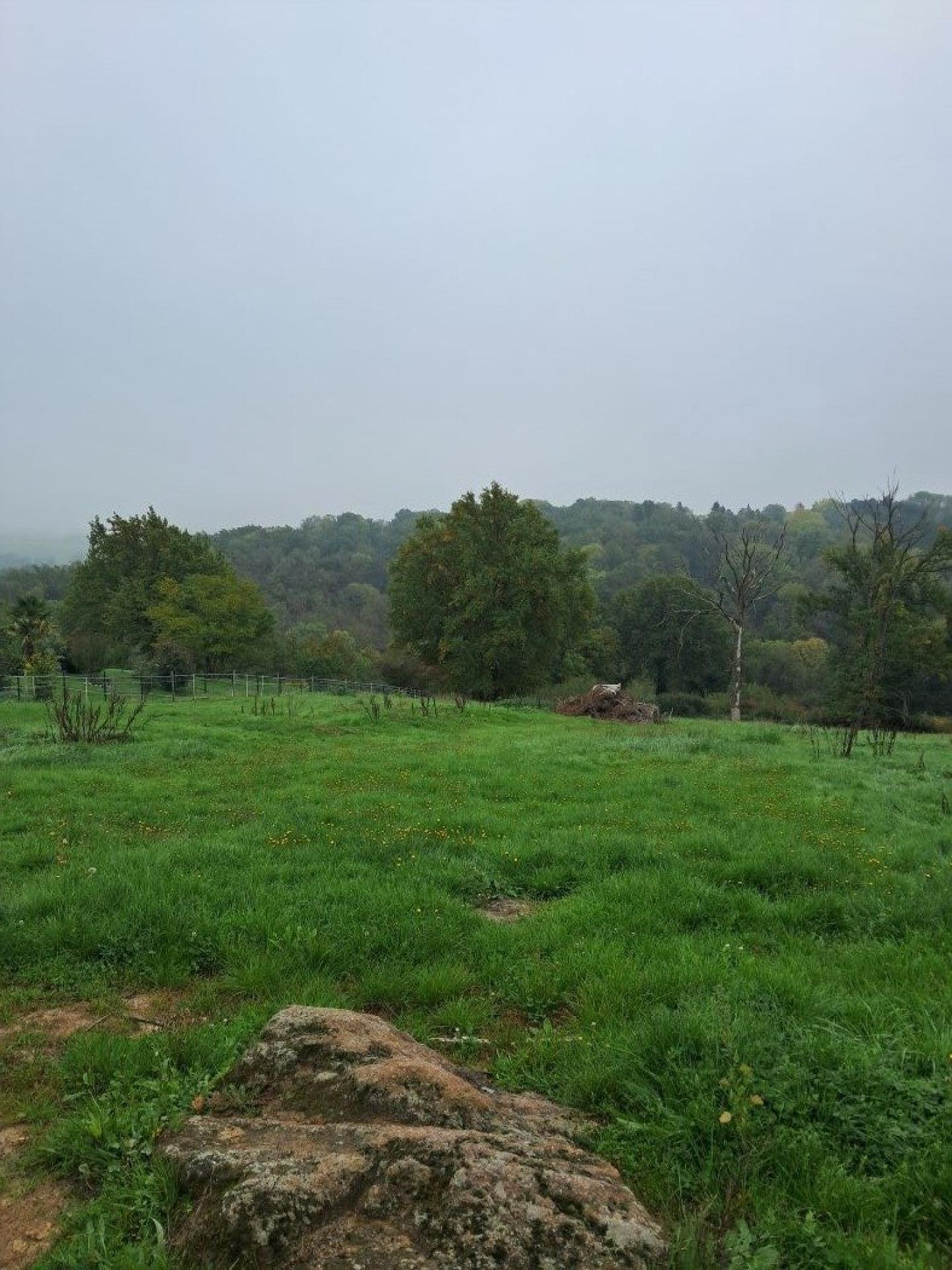 Miniature photo - 3 / 3