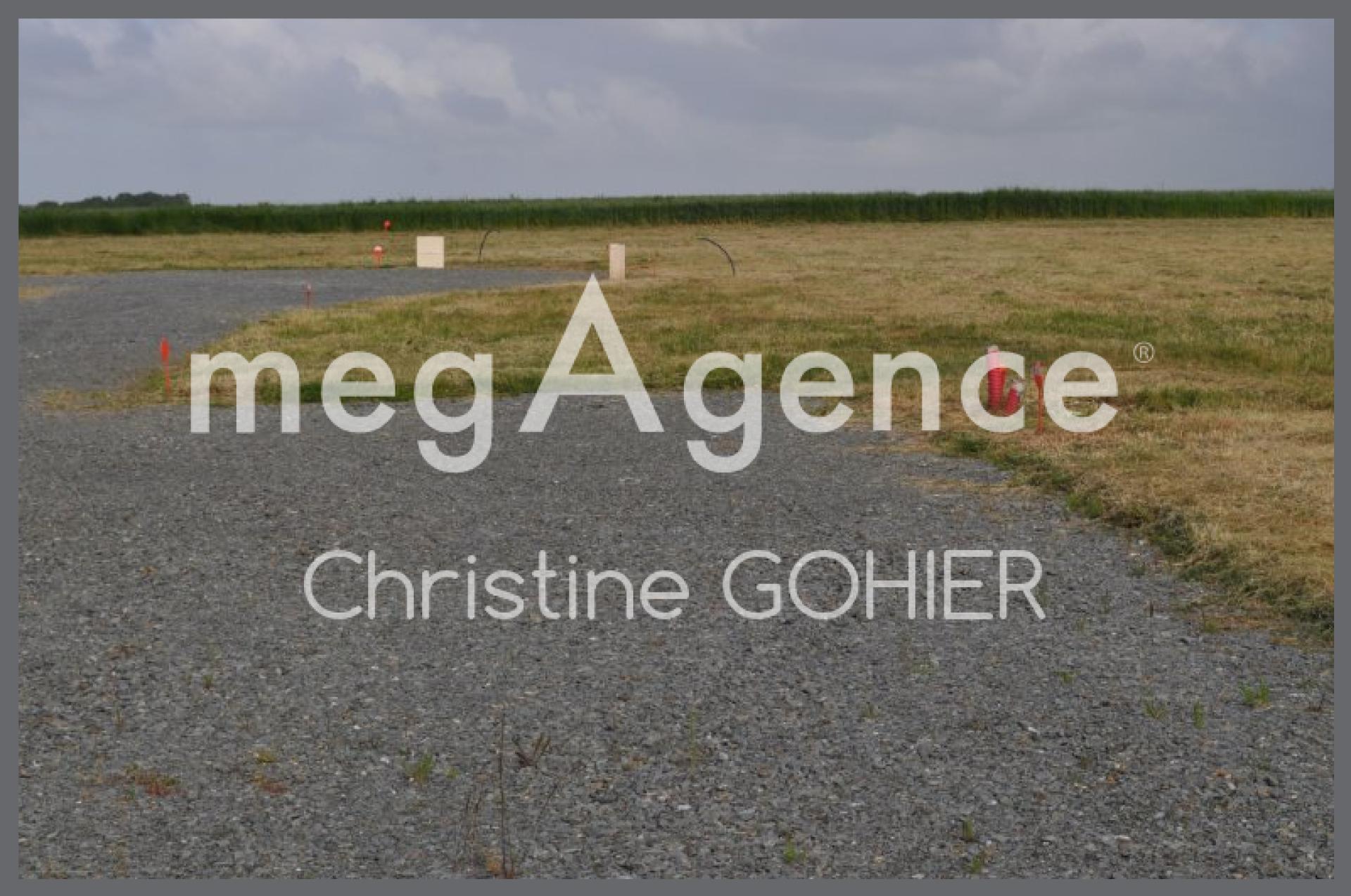 Miniature photo - 2 / 3