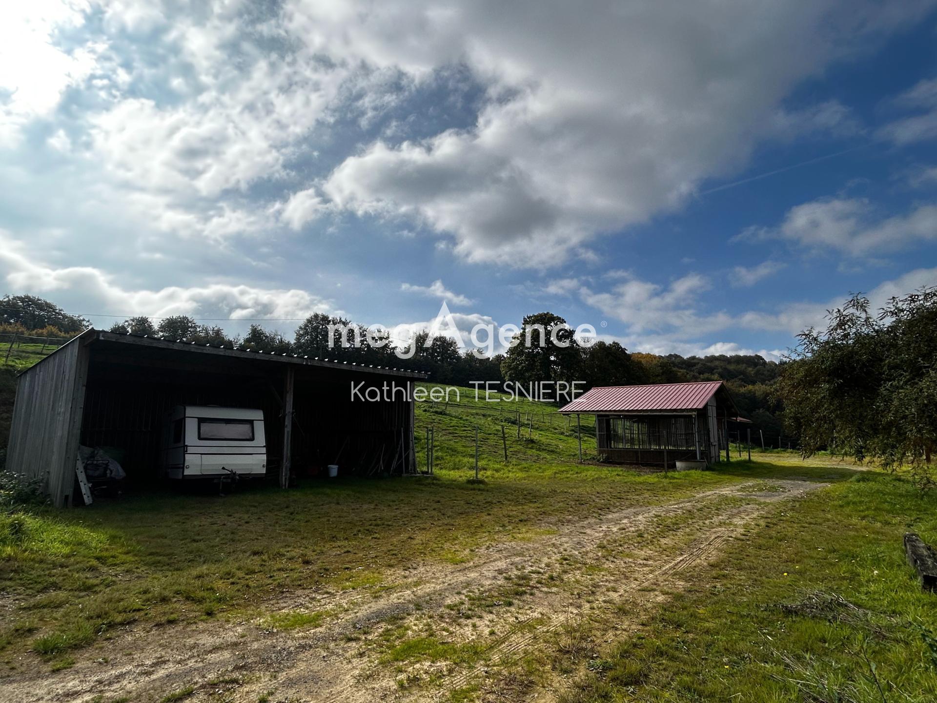 Miniature photo - 18 / 20