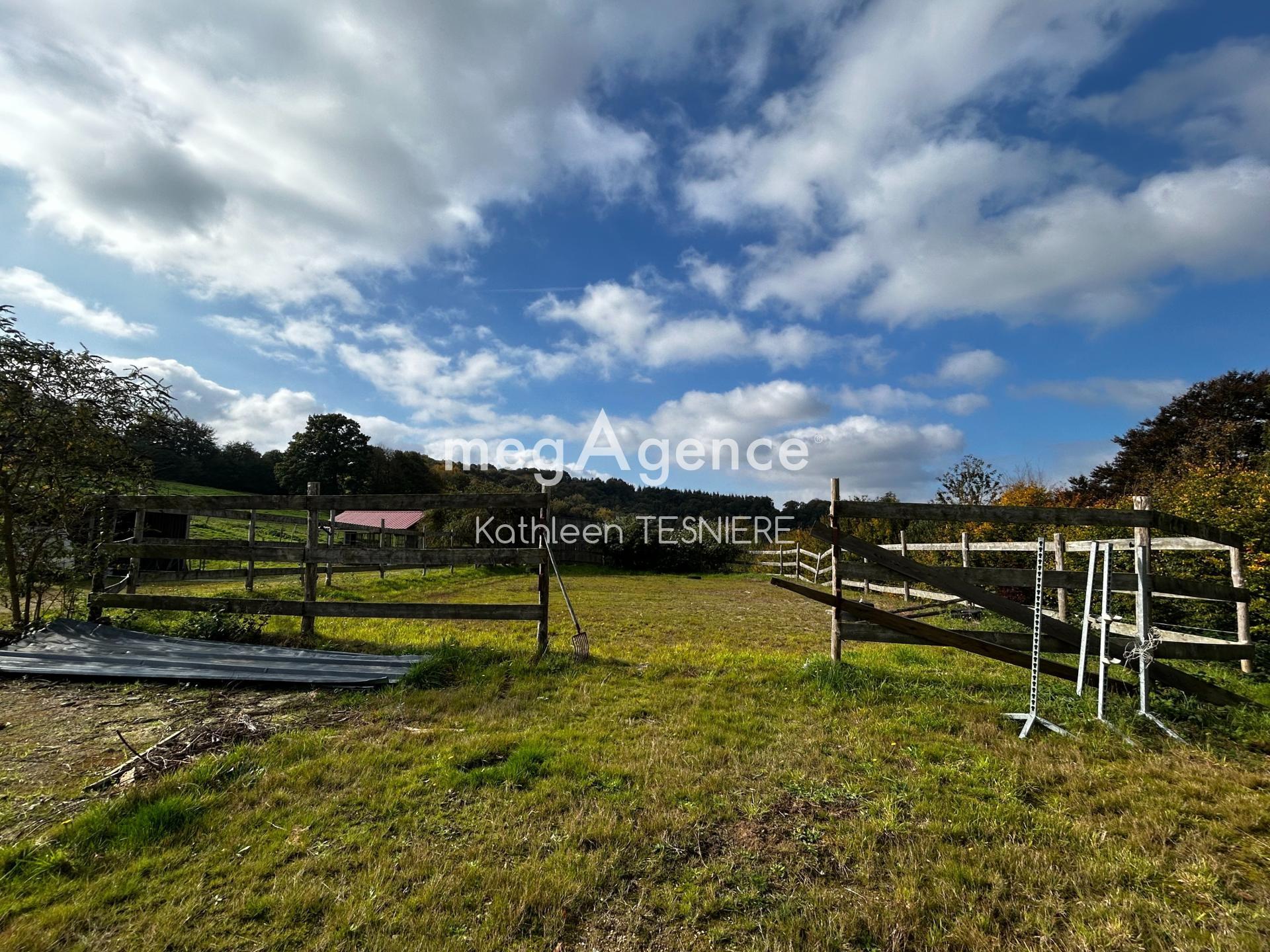 Miniature photo - 16 / 20