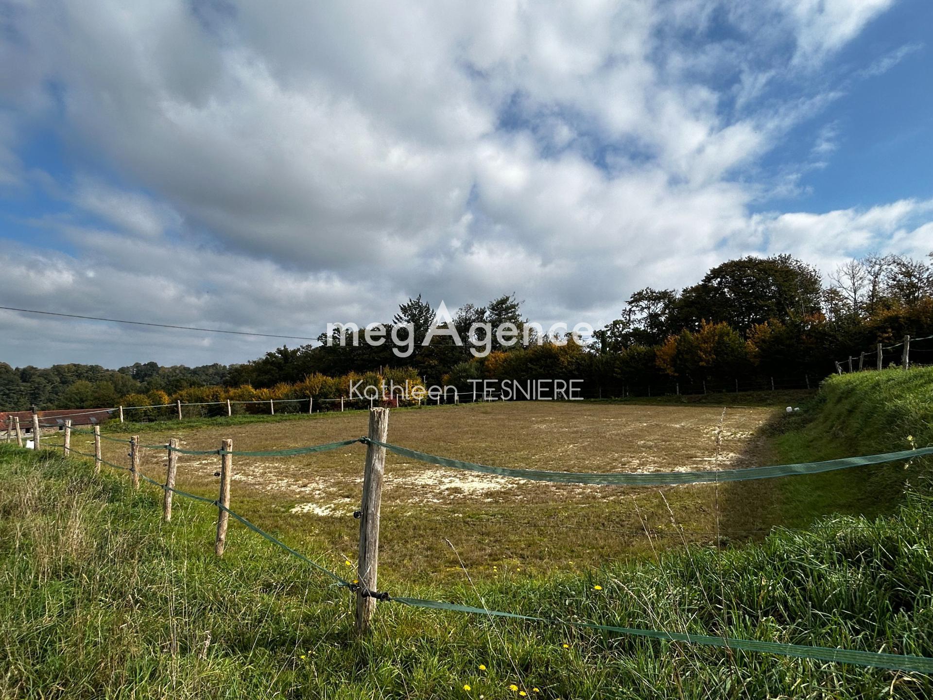 Miniature photo - 17 / 20