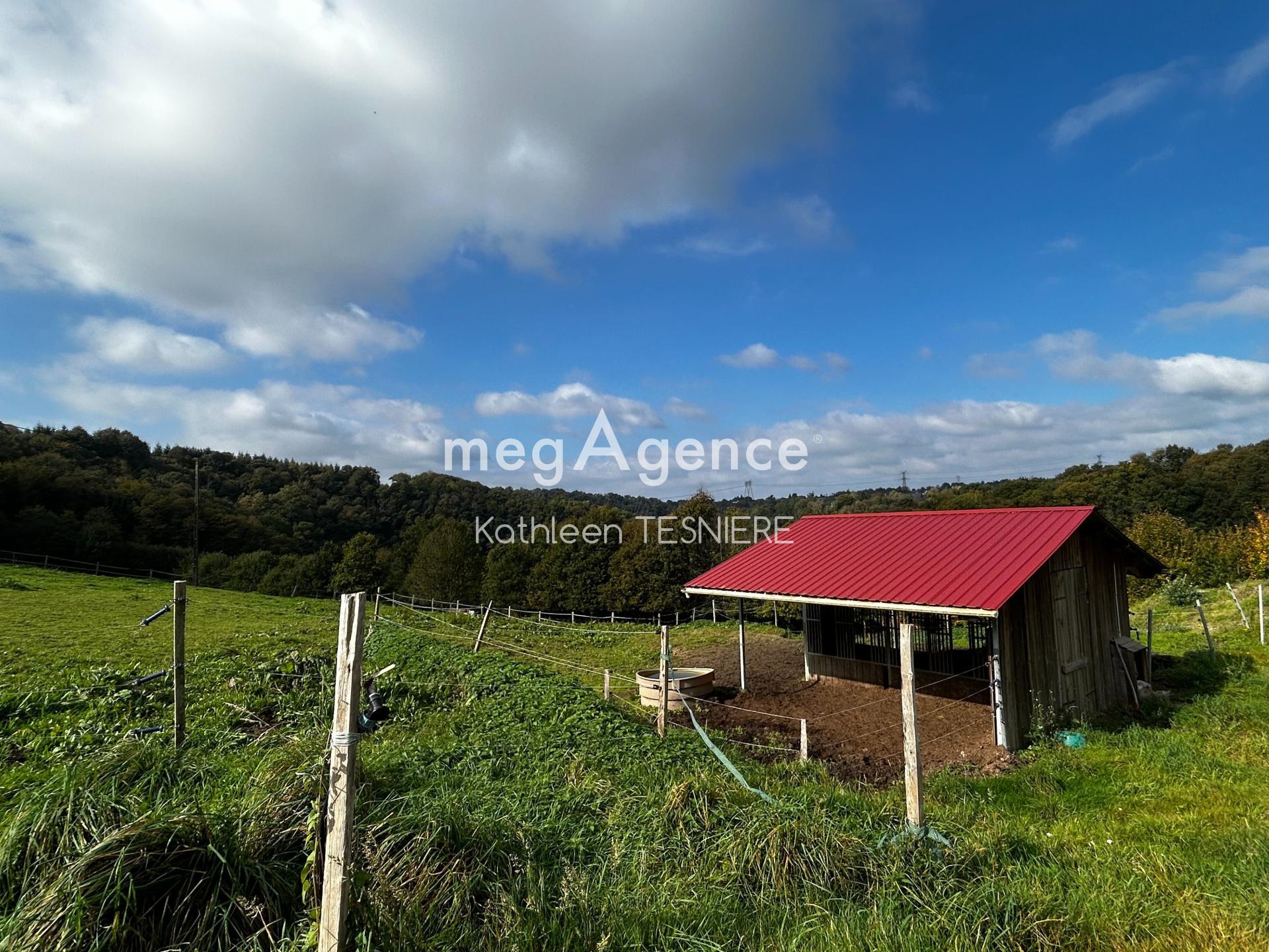 Miniature photo - 14 / 20