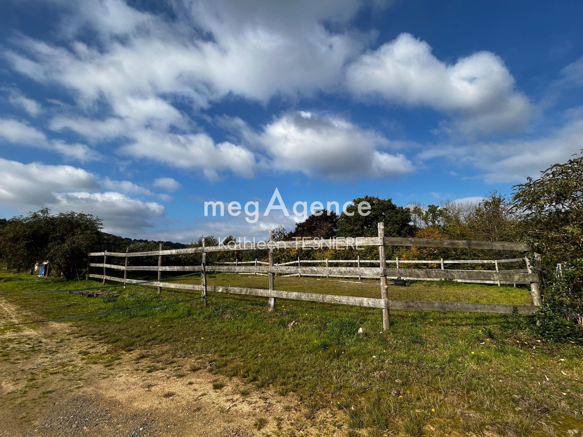 Miniature photo - 13 / 20