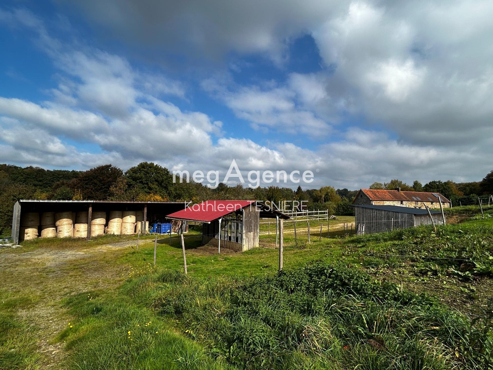 Miniature photo - 12 / 20