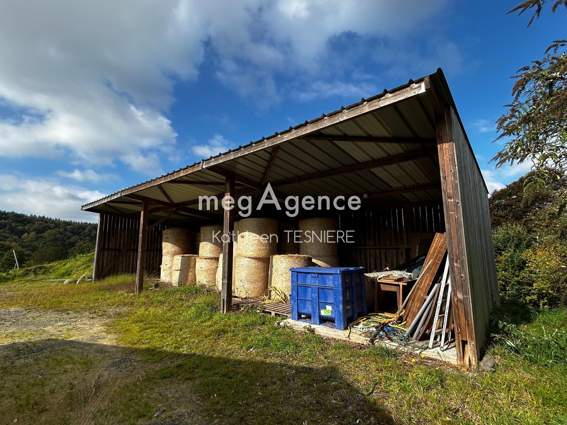 Miniature photo - 15 / 20