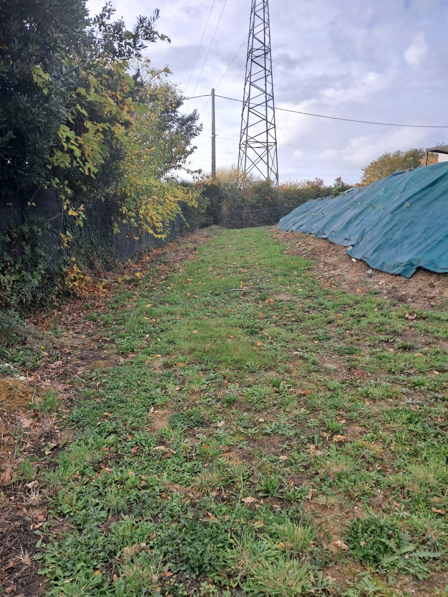 Miniature photo - 3 / 4