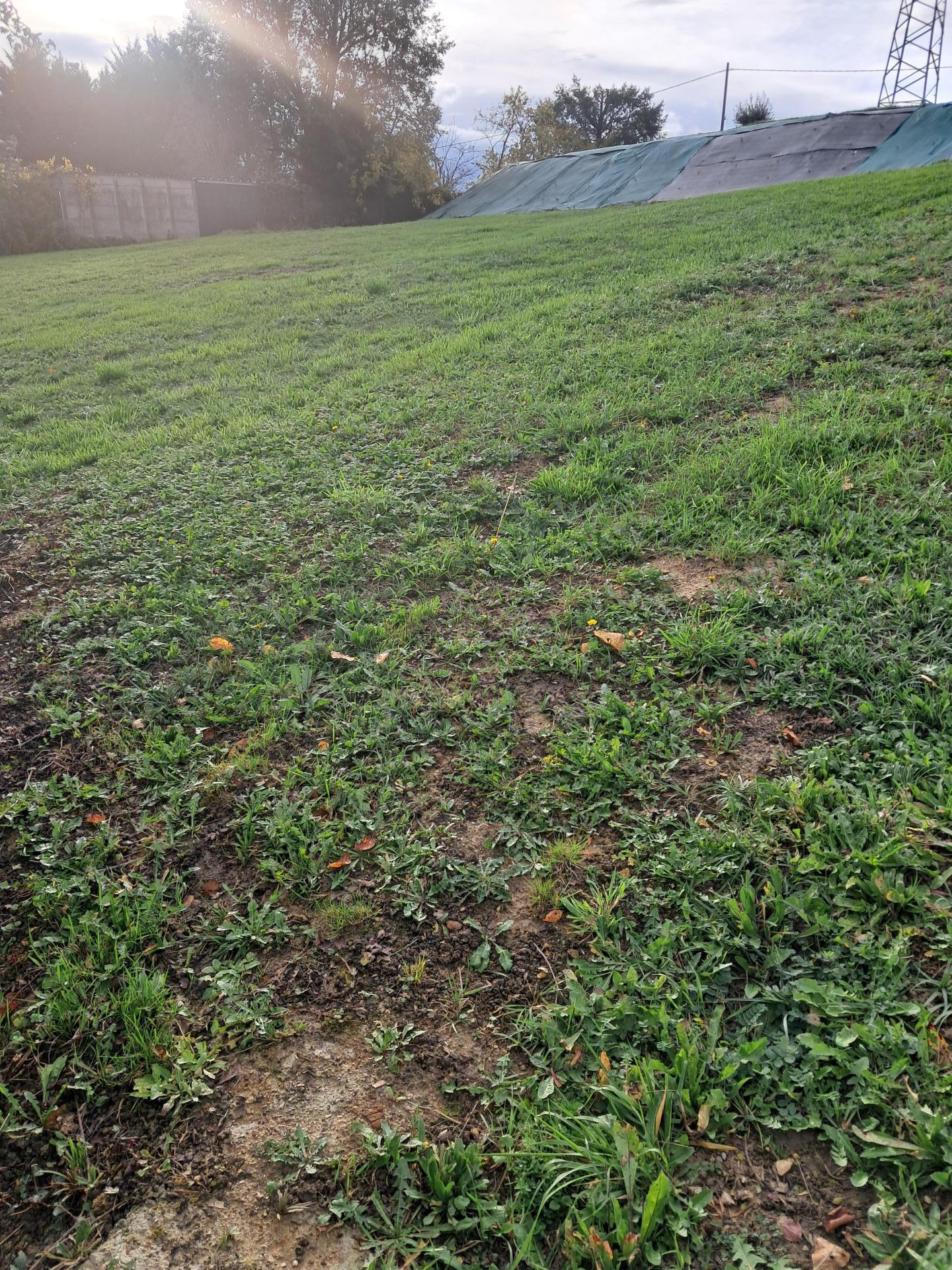 Miniature photo - 2 / 4