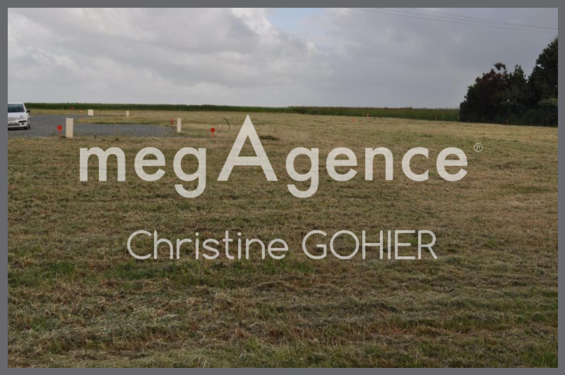 Miniature photo - 3 / 5