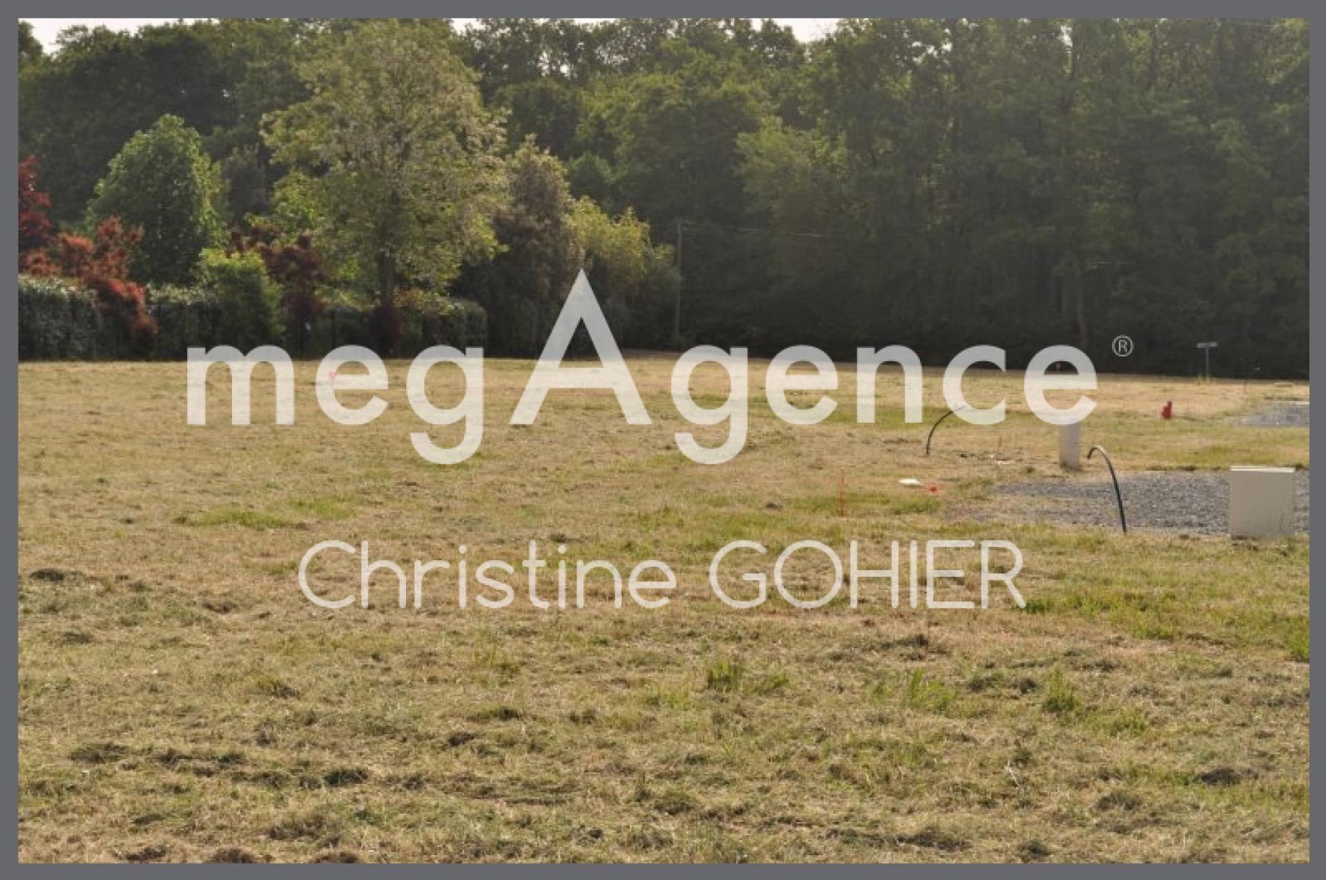 Miniature photo - 5 / 5