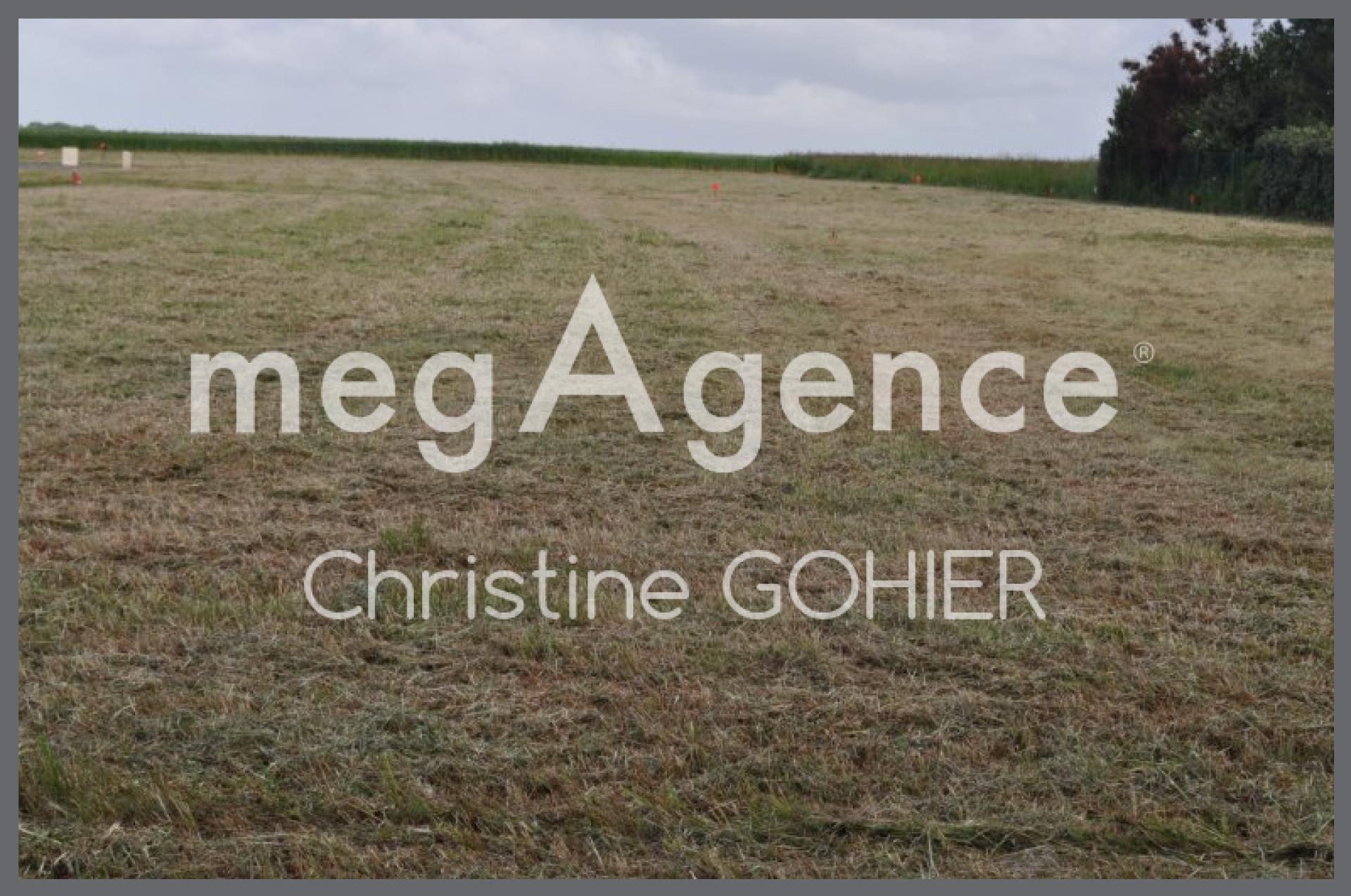 Miniature photo - 2 / 5